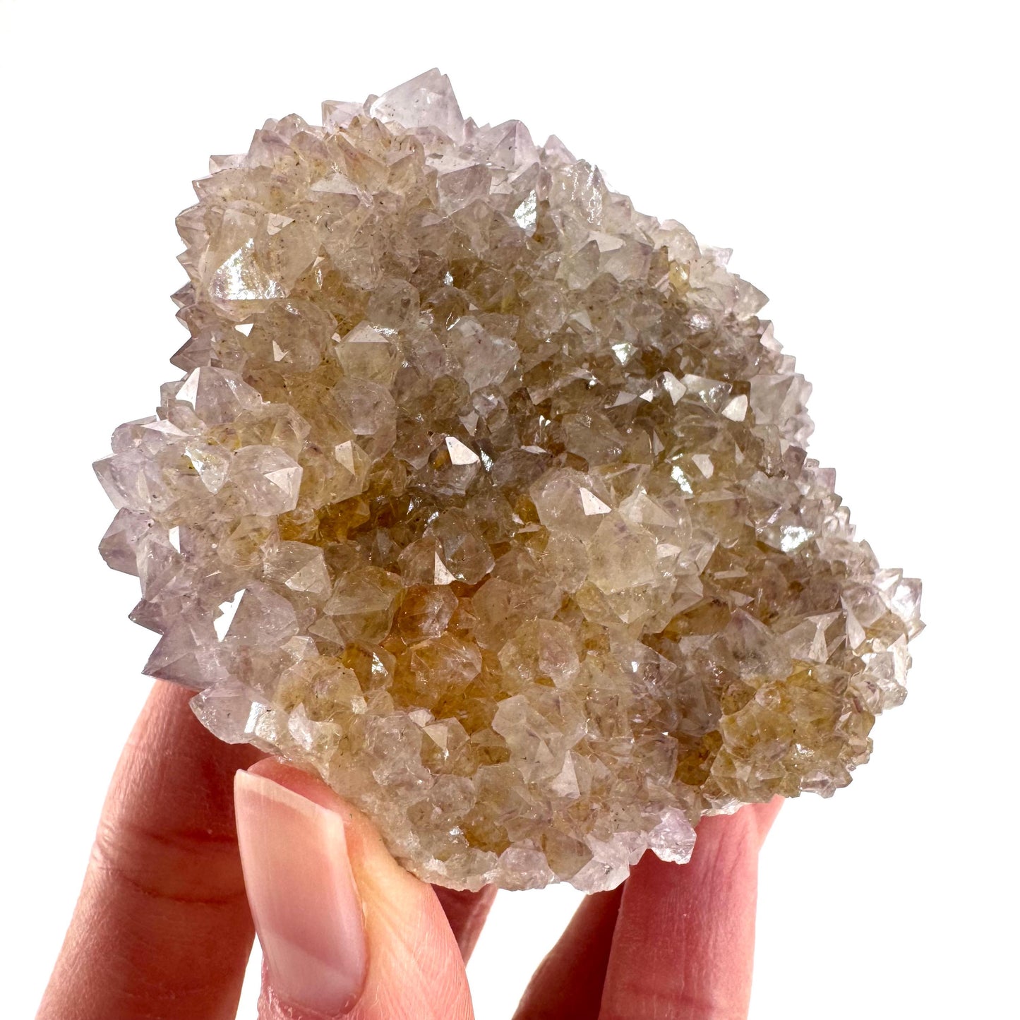 Spirit Quartz Cluster | Cactus Quartz Crystal from South Africa
