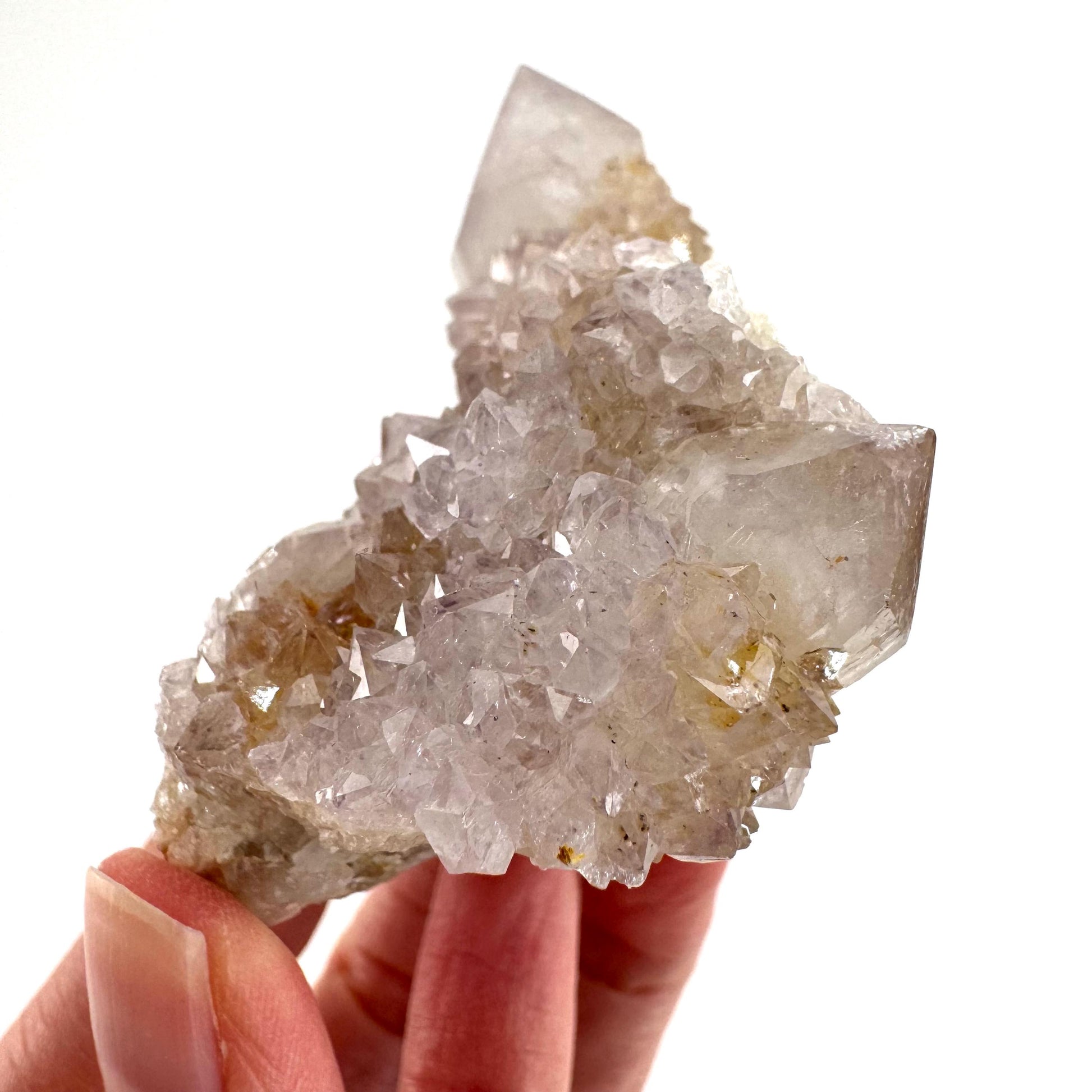Spirit Quartz Cluster | Cactus Quartz Crystal from South Africa