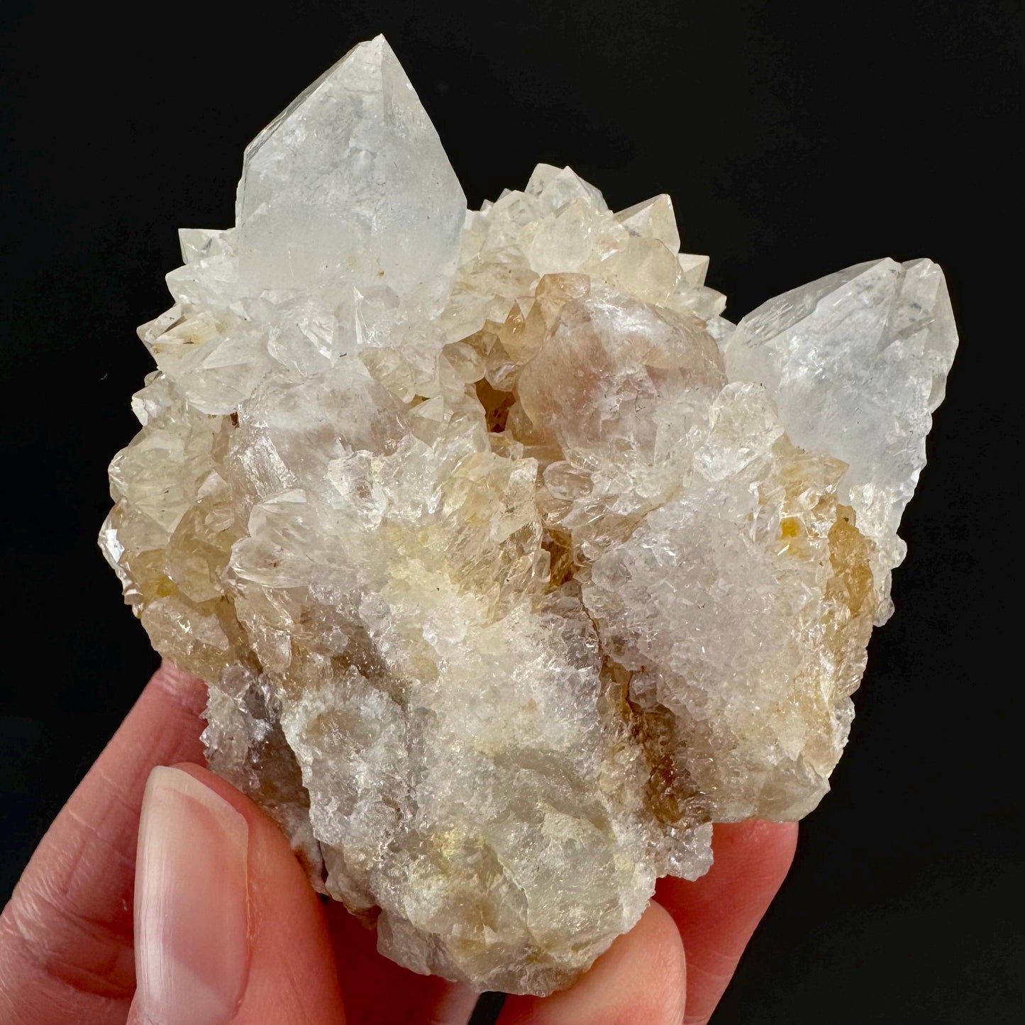 Spirit Quartz Cluster | Cactus Quartz Crystal from South Africa