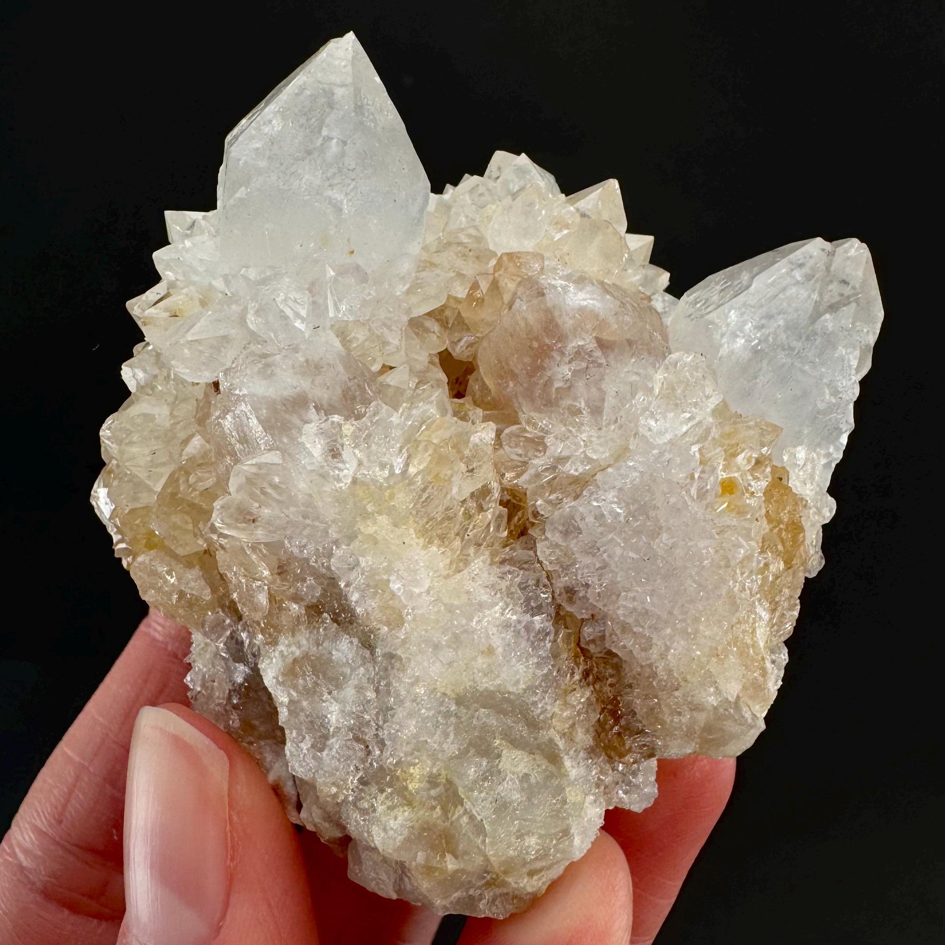 Spirit Quartz Cluster | Cactus Quartz Crystal from South Africa