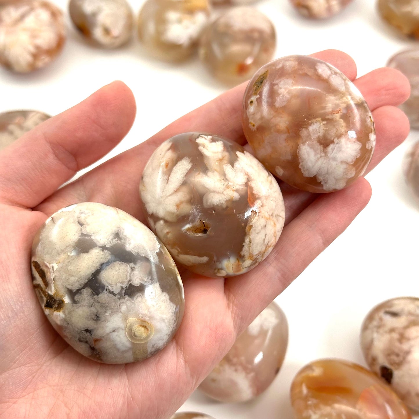 Flower Agate Palm Stone, flower agate palmstone, polished agate