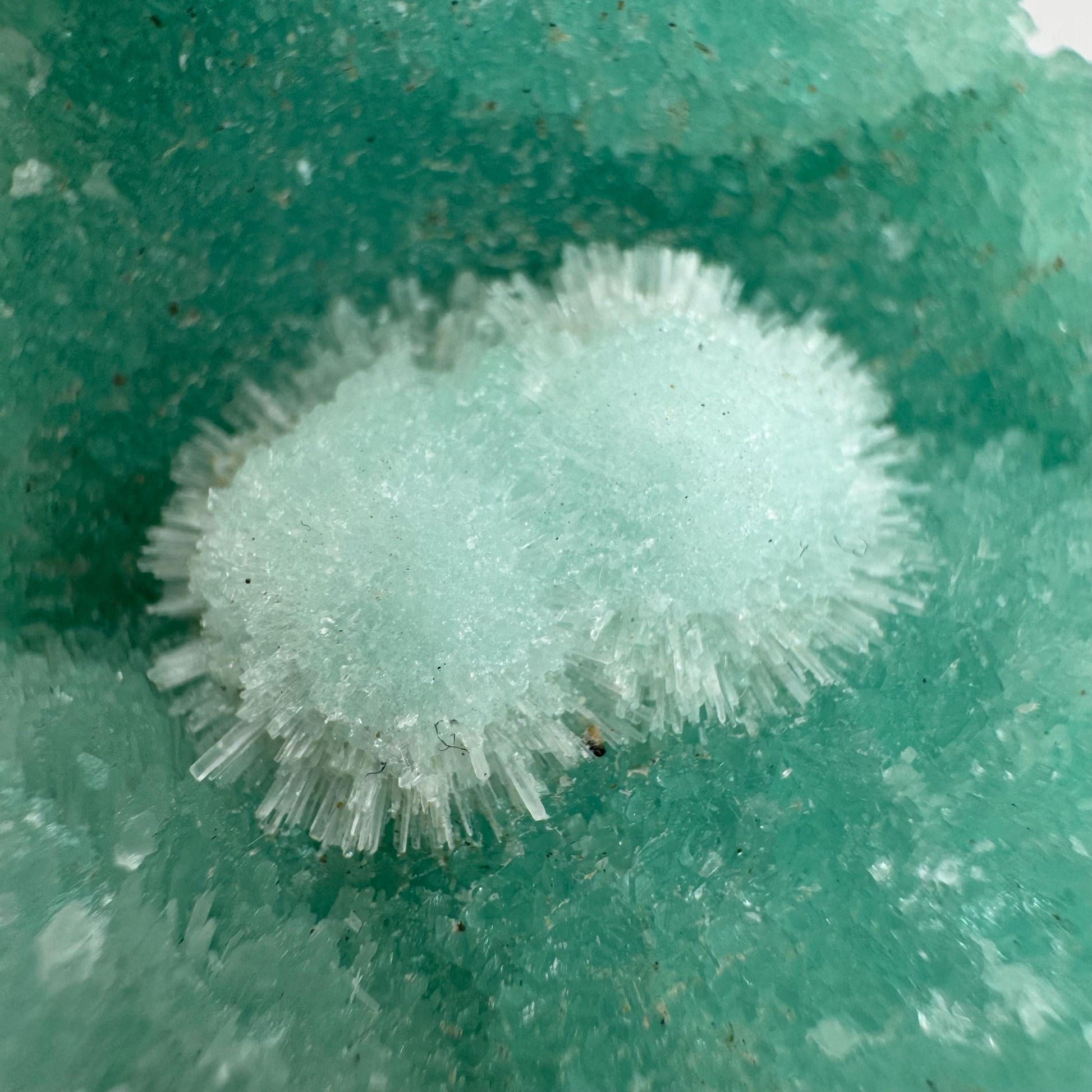 Blue Aragonite | natural crystal cluster, mineral specimen