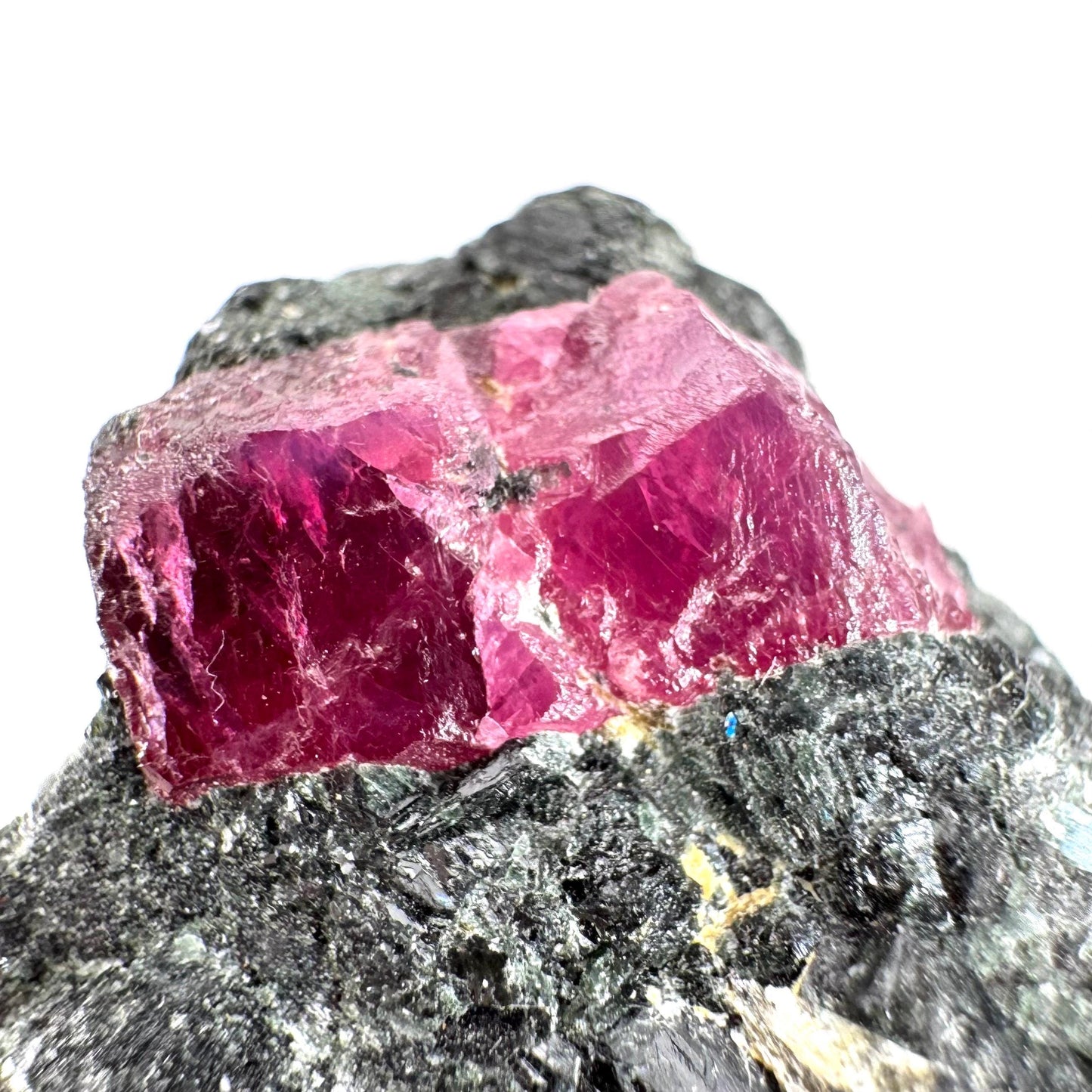 Ruby & Blue Kyanite on Matrix | natural crystal, mineral specimen from Tanzania