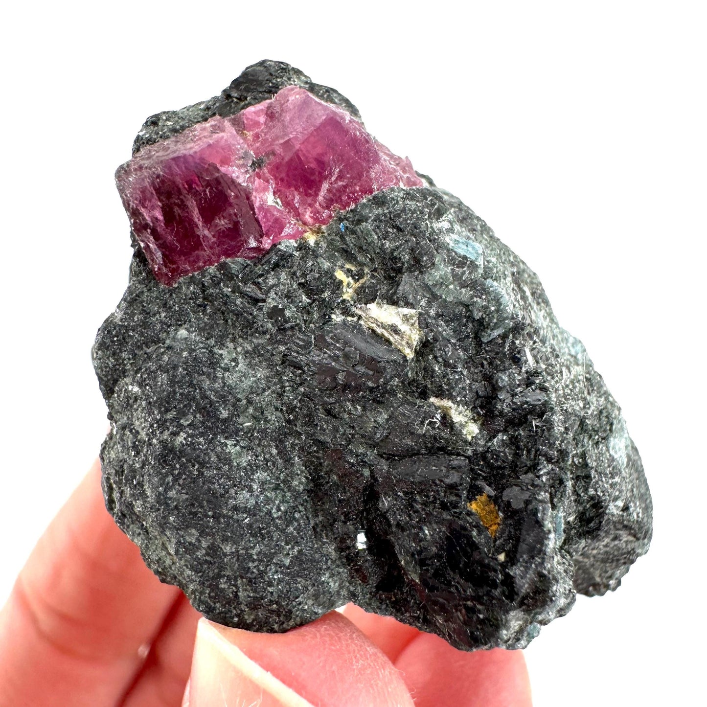 Ruby & Blue Kyanite on Matrix | natural crystal, mineral specimen from Tanzania