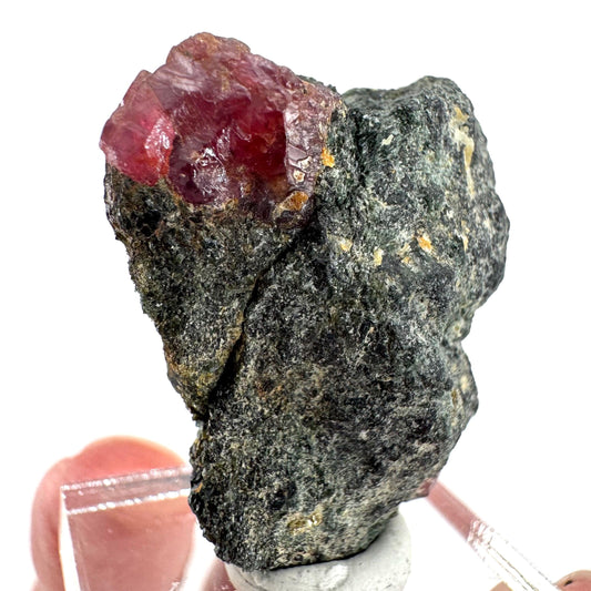 Ruby on Matrix | natural crystal, mineral specimen from Tanzania