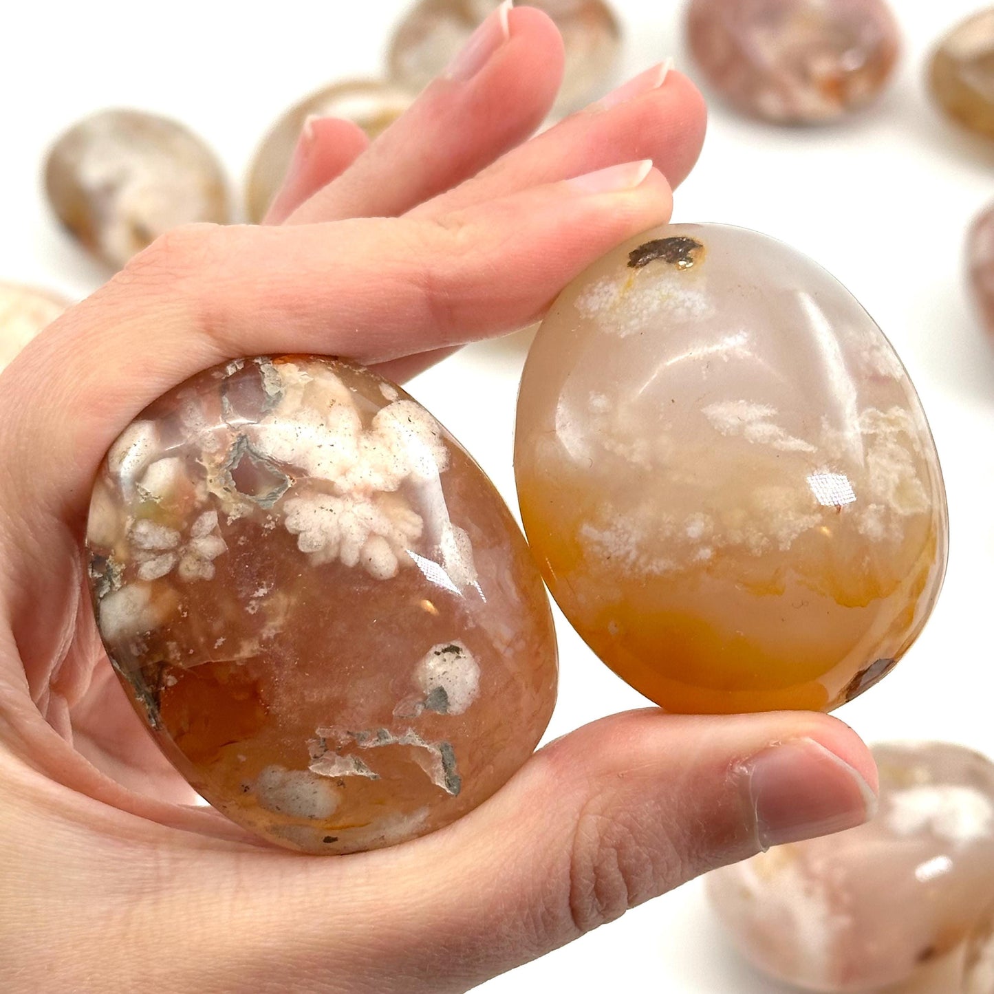 Flower Agate Palm Stone, flower agate palmstone, polished agate