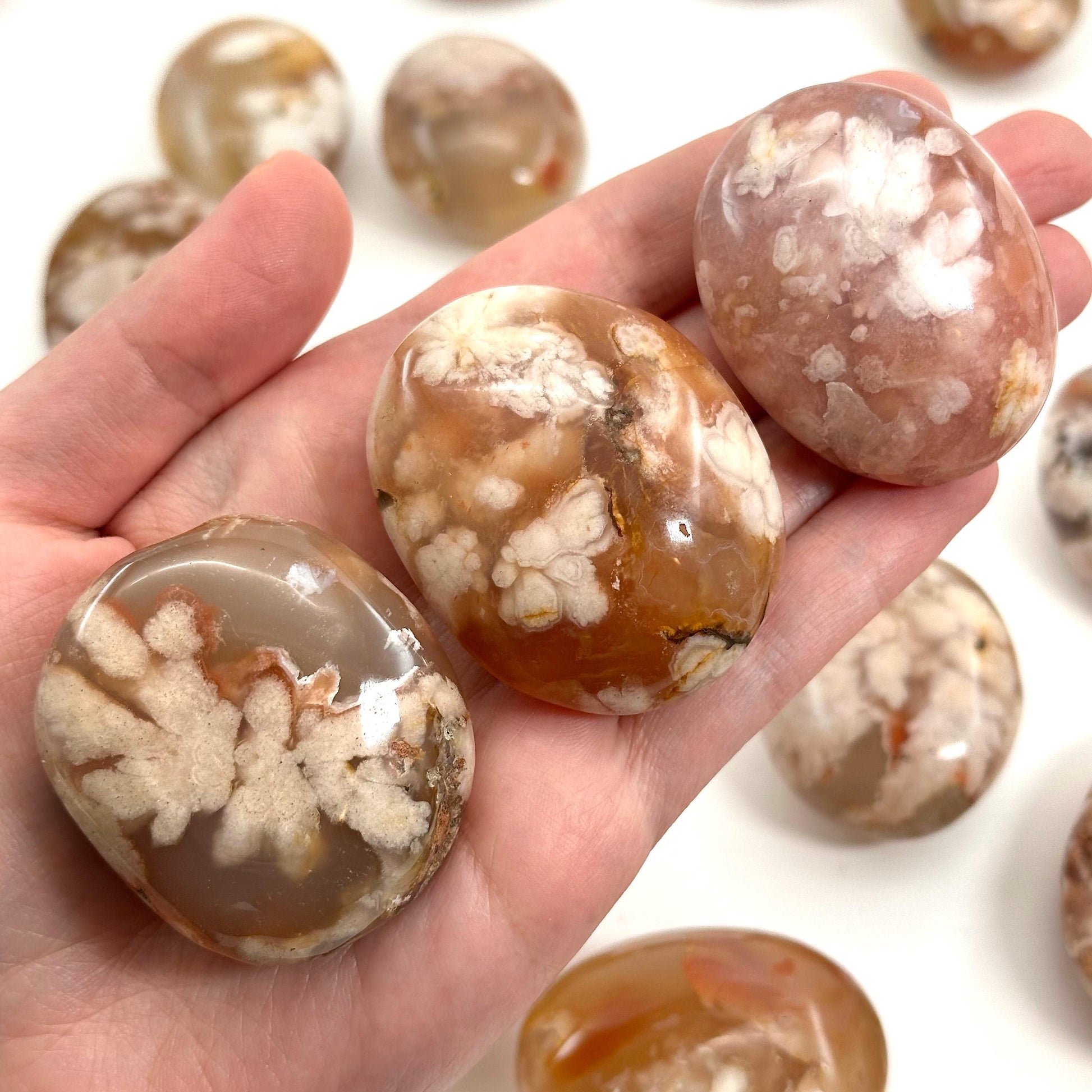 Flower Agate Palm Stone, flower agate palmstone, polished agate