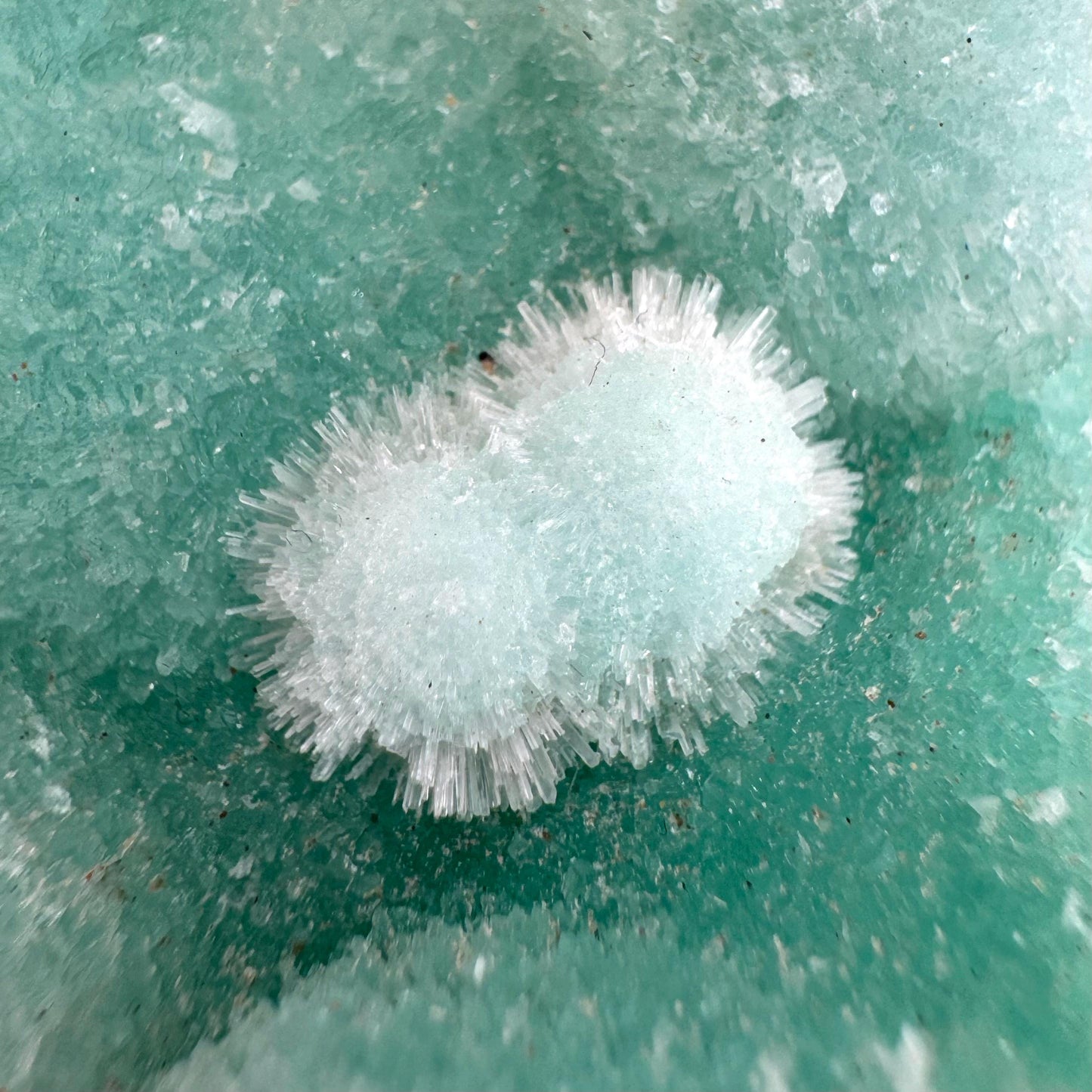 Blue Aragonite | natural crystal cluster, mineral specimen