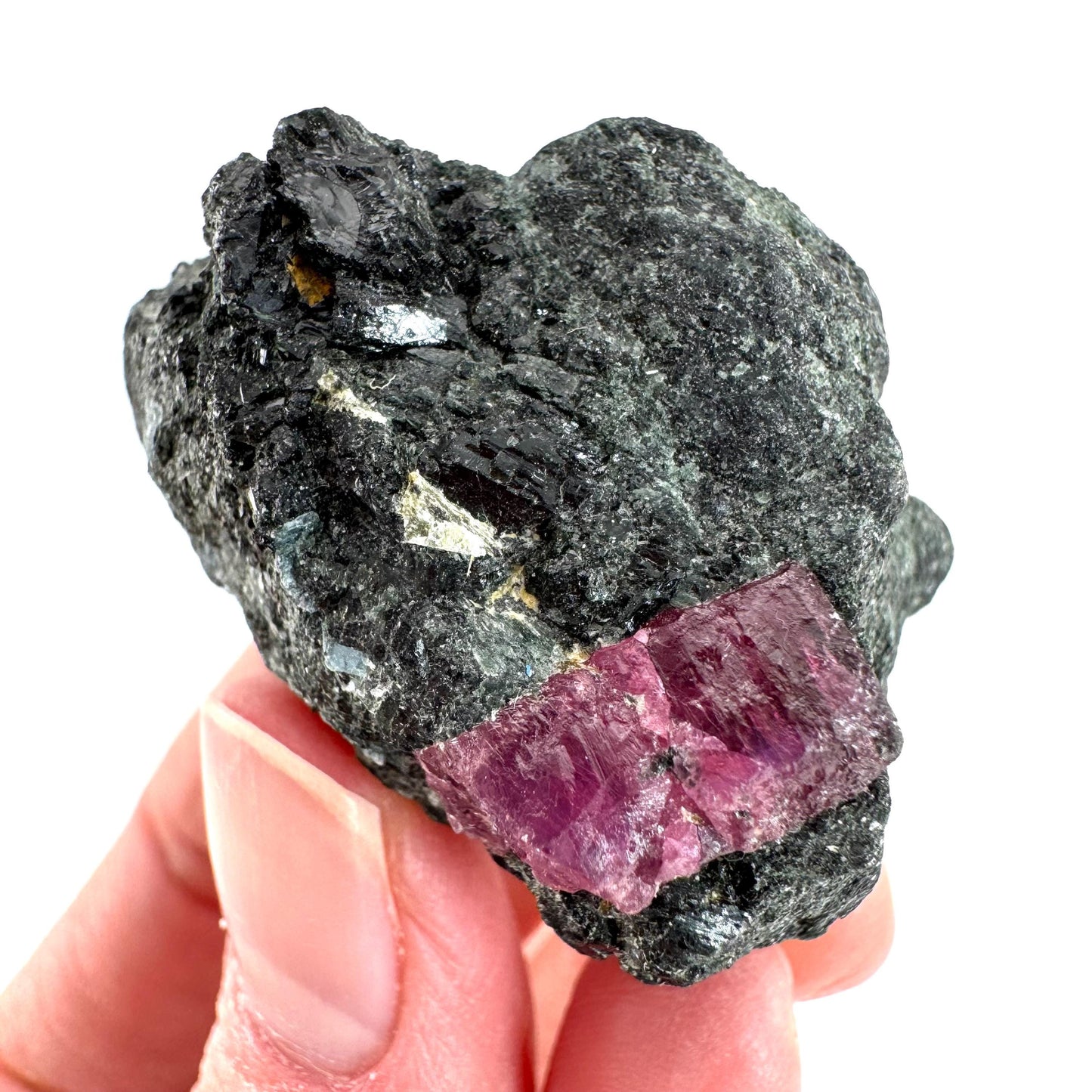 Ruby & Blue Kyanite on Matrix | natural crystal, mineral specimen from Tanzania