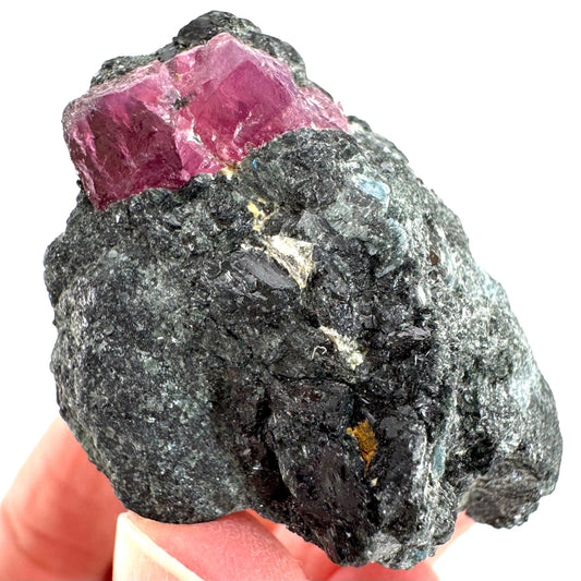 Ruby & Blue Kyanite on Matrix | natural crystal, mineral specimen from Tanzania