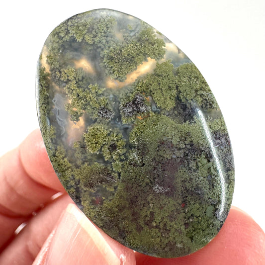 Plume Agate Cabochon | Landscape Picture Gemstone