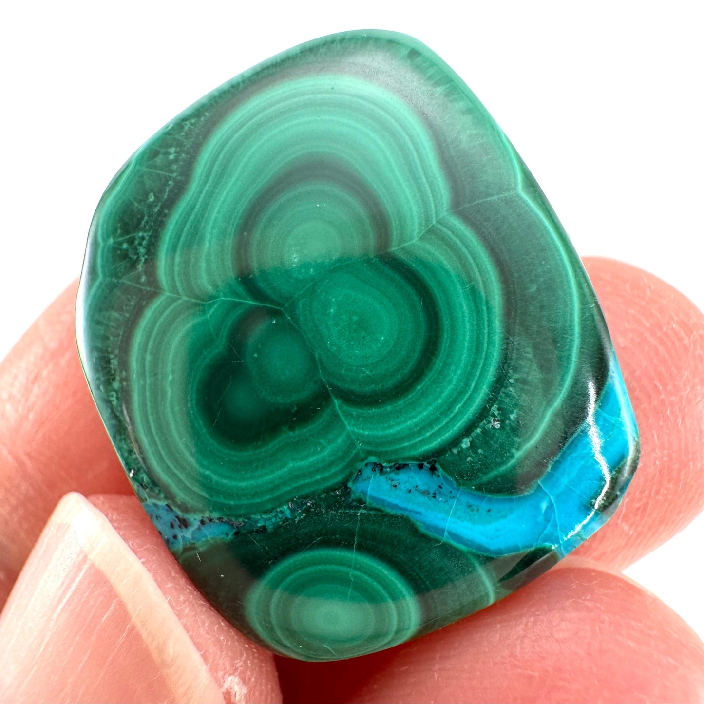 Malachite Chrysocolla Cabochon | Green and Blue Malacolla Gemstone
