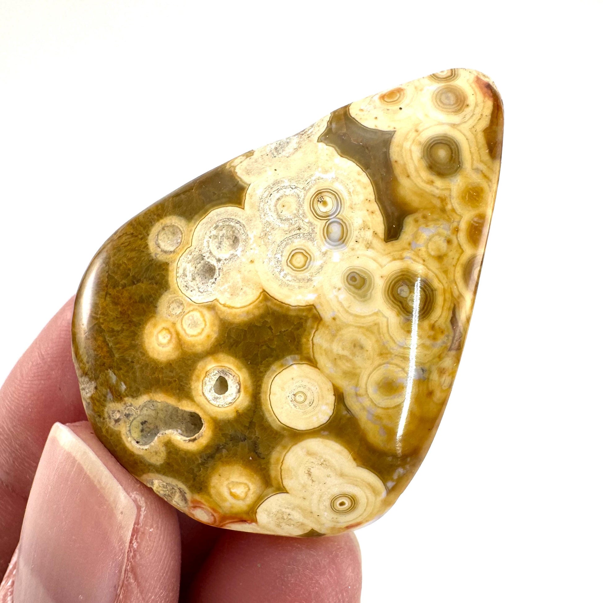 Orbicular Ocean Jasper Cabochon | Natural Gemstone