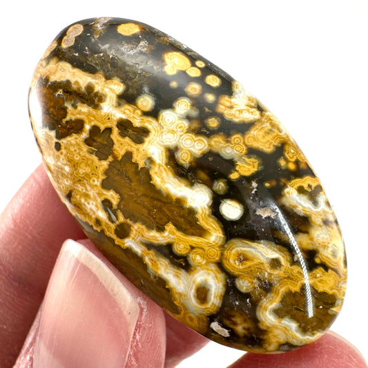 Orbicular Ocean Jasper Cabochon | Natural Gemstone