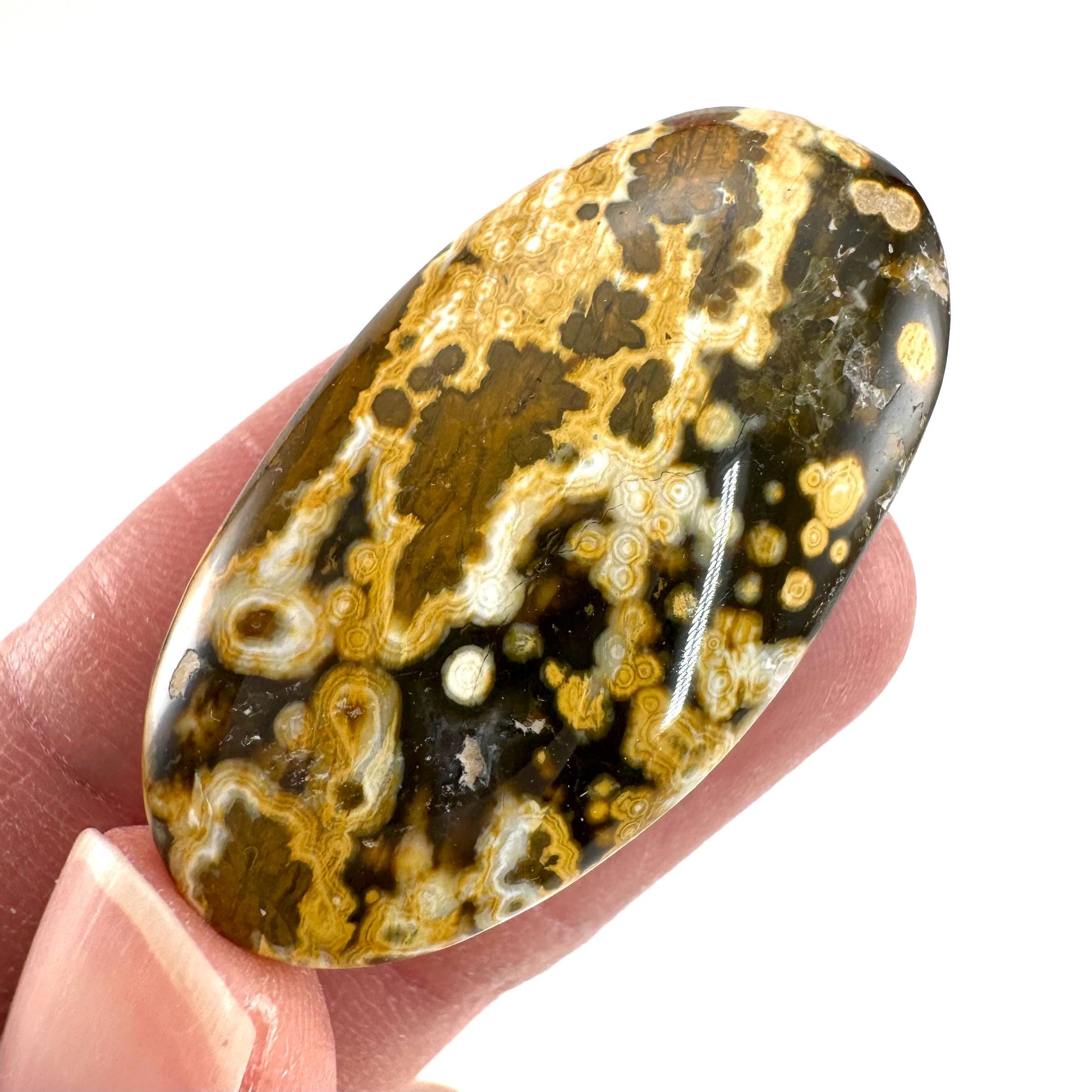 Orbicular Ocean Jasper Cabochon | Natural Gemstone