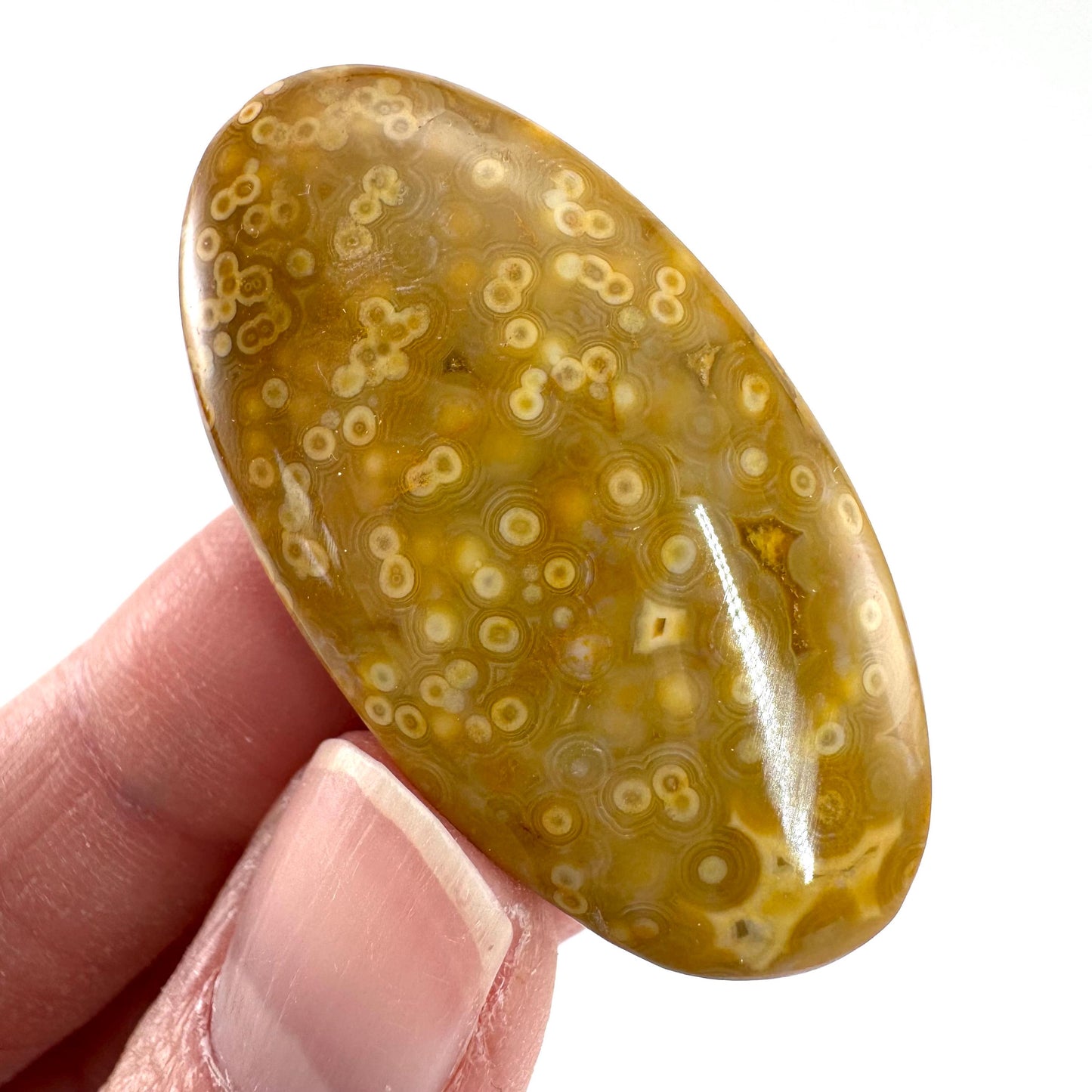 Orbicular Ocean Jasper Cabochon | Natural Gemstone