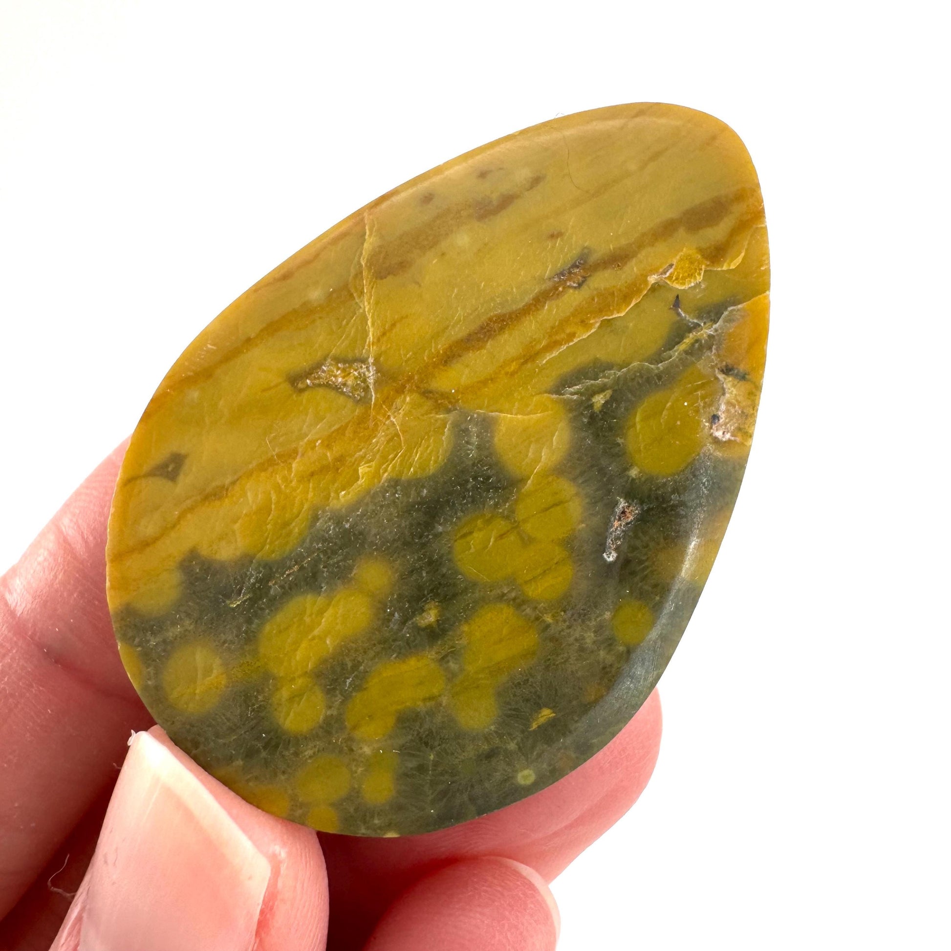 Orbicular Ocean Jasper Cabochon | Natural Gemstone
