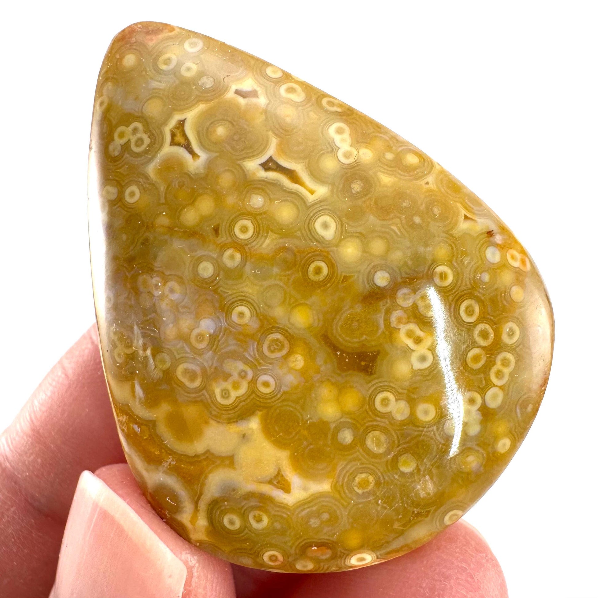 Orbicular Ocean Jasper Cabochon | Natural Gemstone