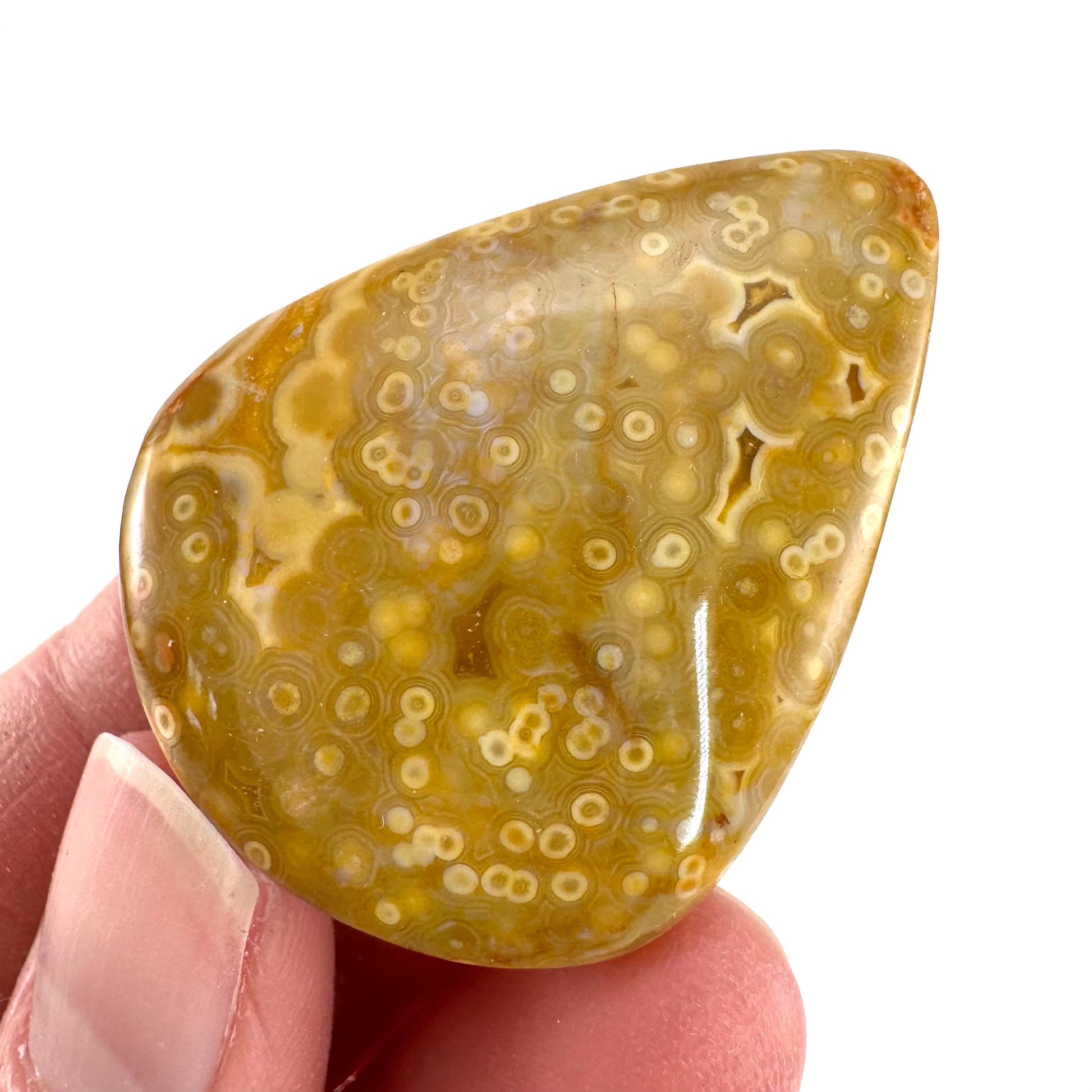 Orbicular Ocean Jasper Cabochon | Natural Gemstone