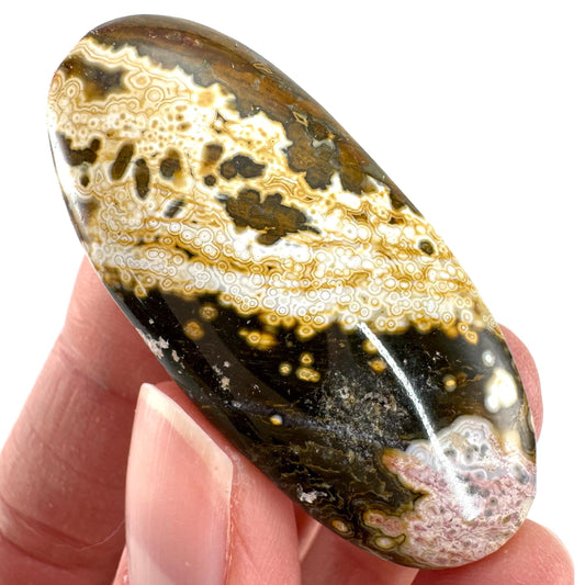 Orbicular Ocean Jasper Cabochon | Natural Gemstone