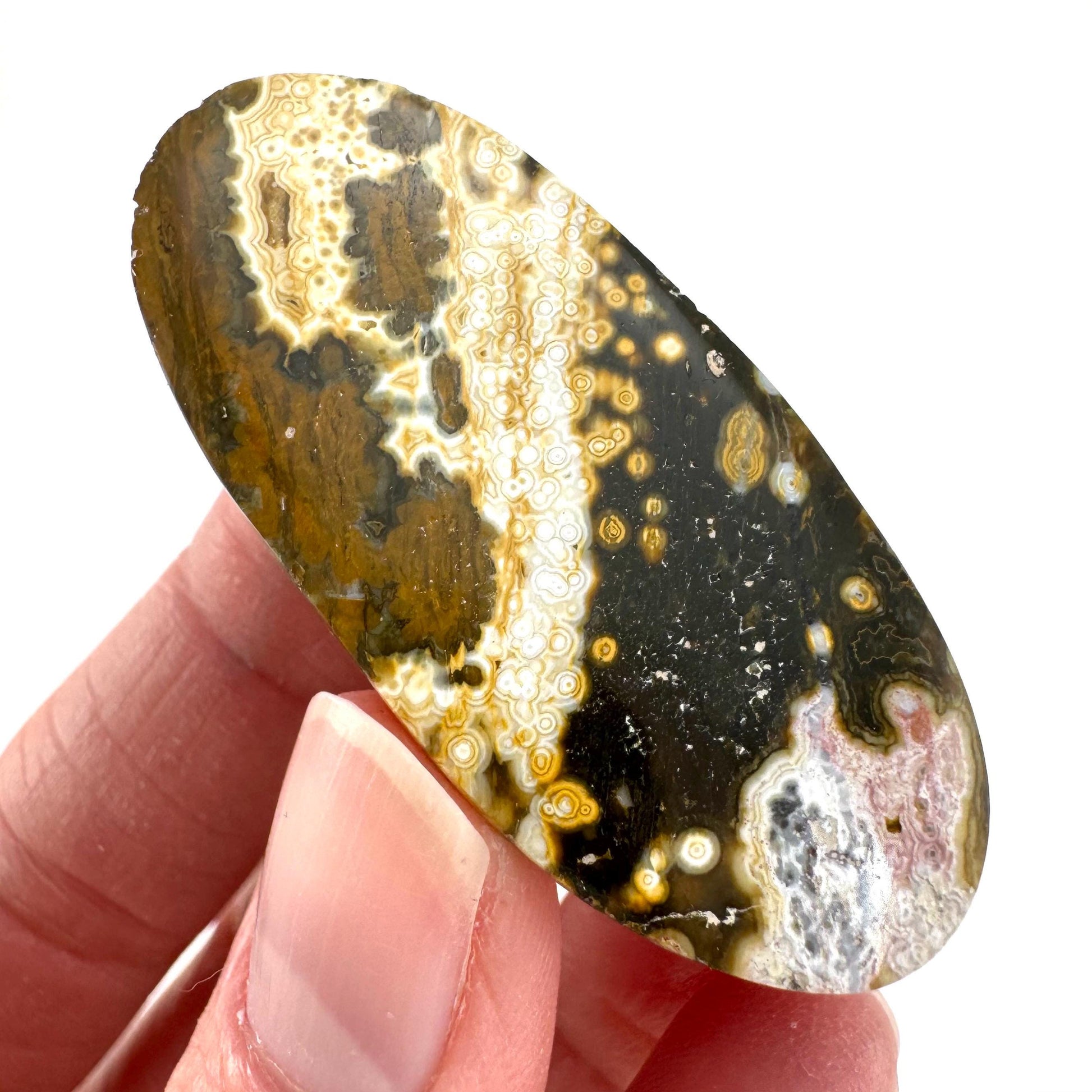 Orbicular Ocean Jasper Cabochon | Natural Gemstone