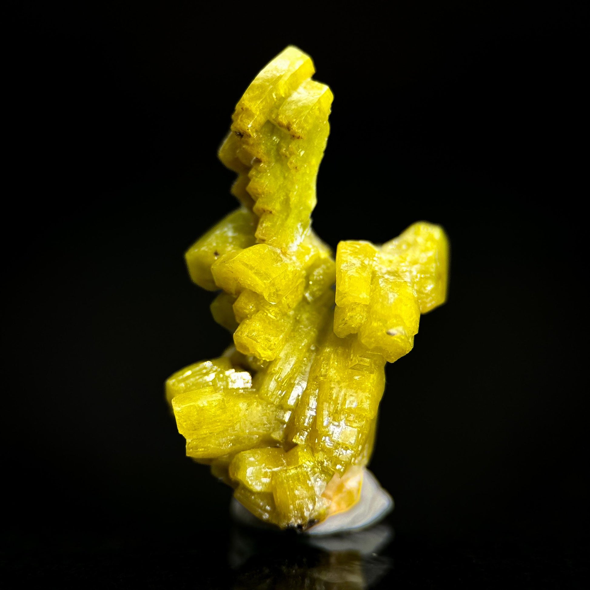 Pyromorphite (Bunker Hill Mine, Idaho) | green pyromorphite crystal, rare mineral specimen