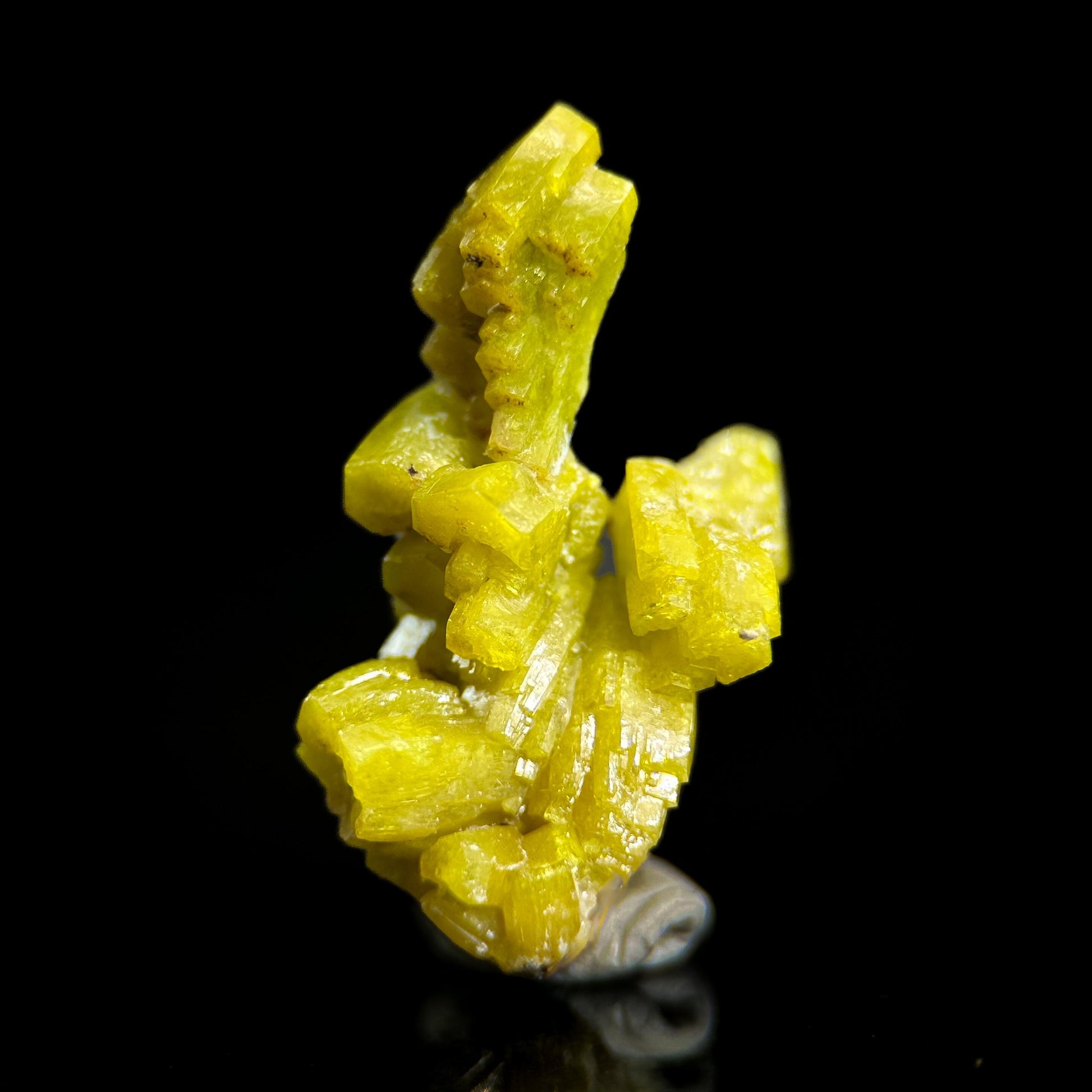 Pyromorphite (Bunker Hill Mine, Idaho) | green pyromorphite crystal, rare mineral specimen