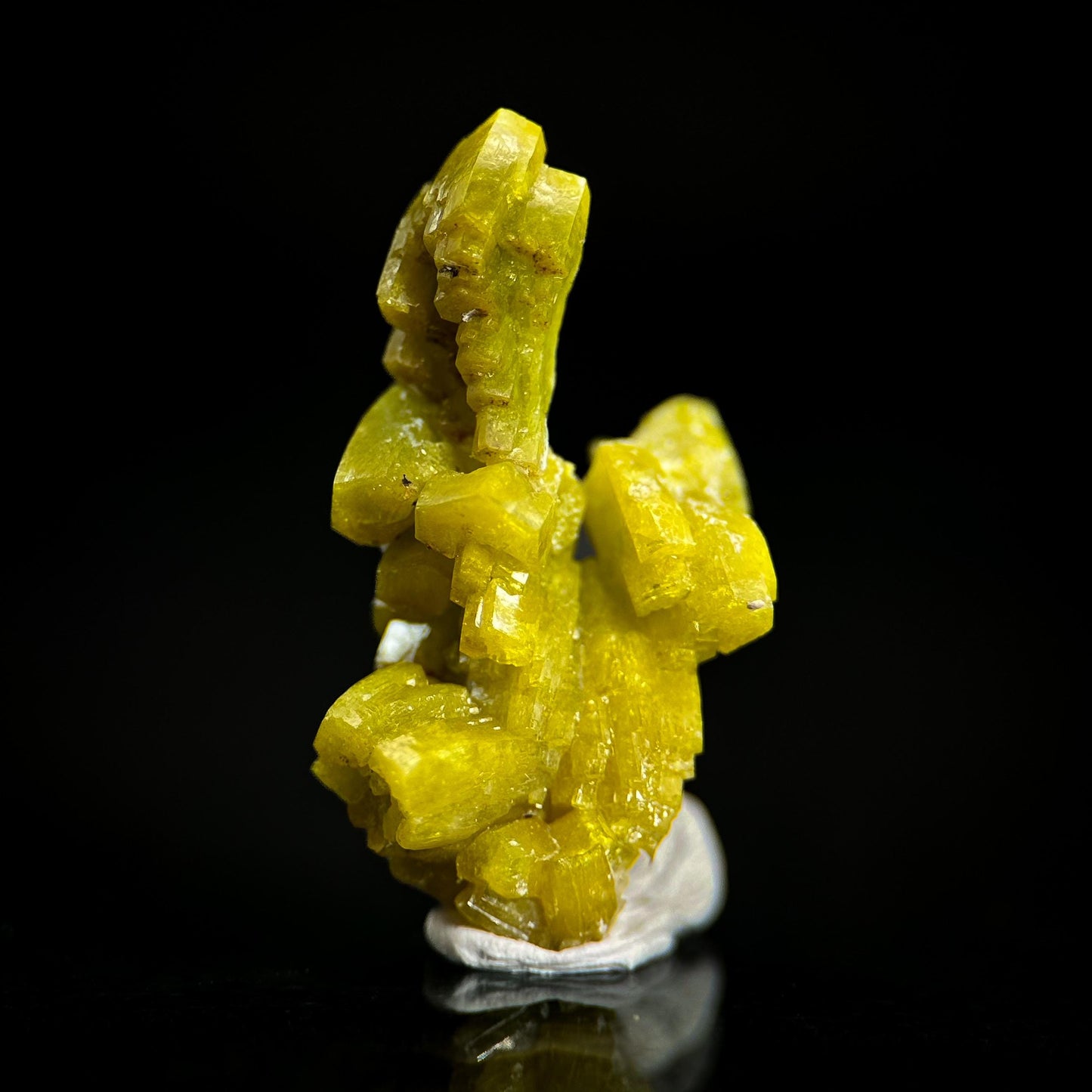 Pyromorphite (Bunker Hill Mine, Idaho) | green pyromorphite crystal, rare mineral specimen