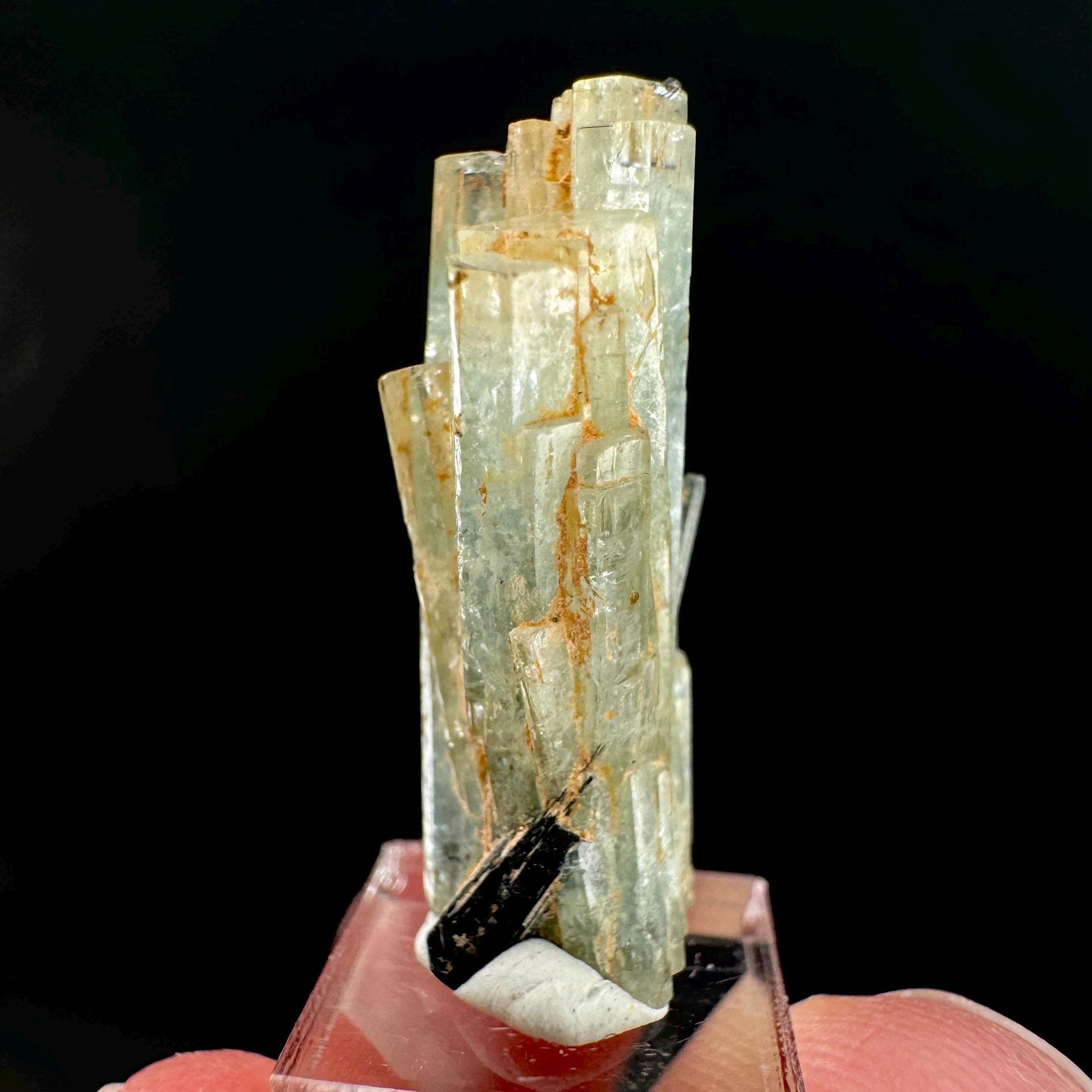 Aquamarine Crystal w/ Schorl | natural blue beryl, mineral specimen from Namibia