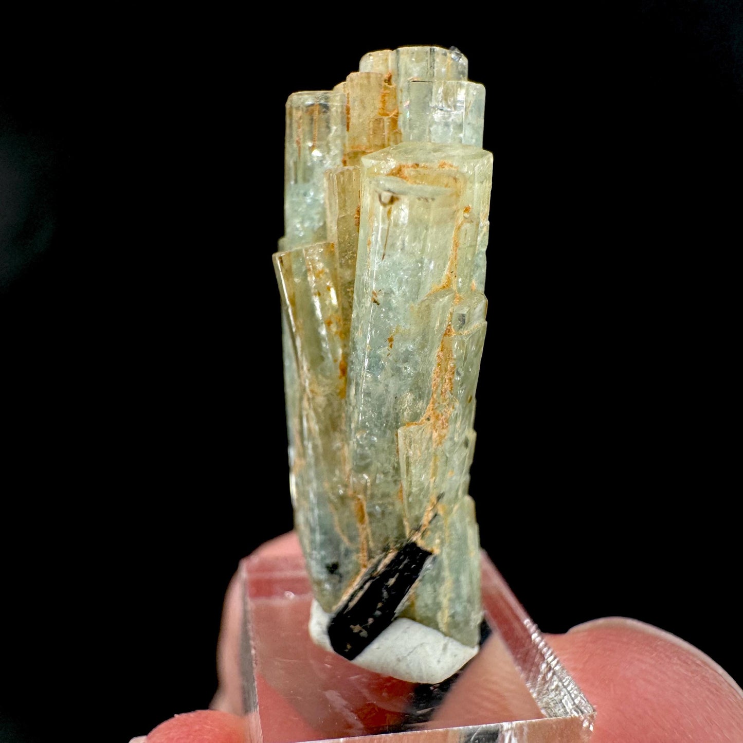 Aquamarine Crystal w/ Schorl | natural blue beryl, mineral specimen from Namibia