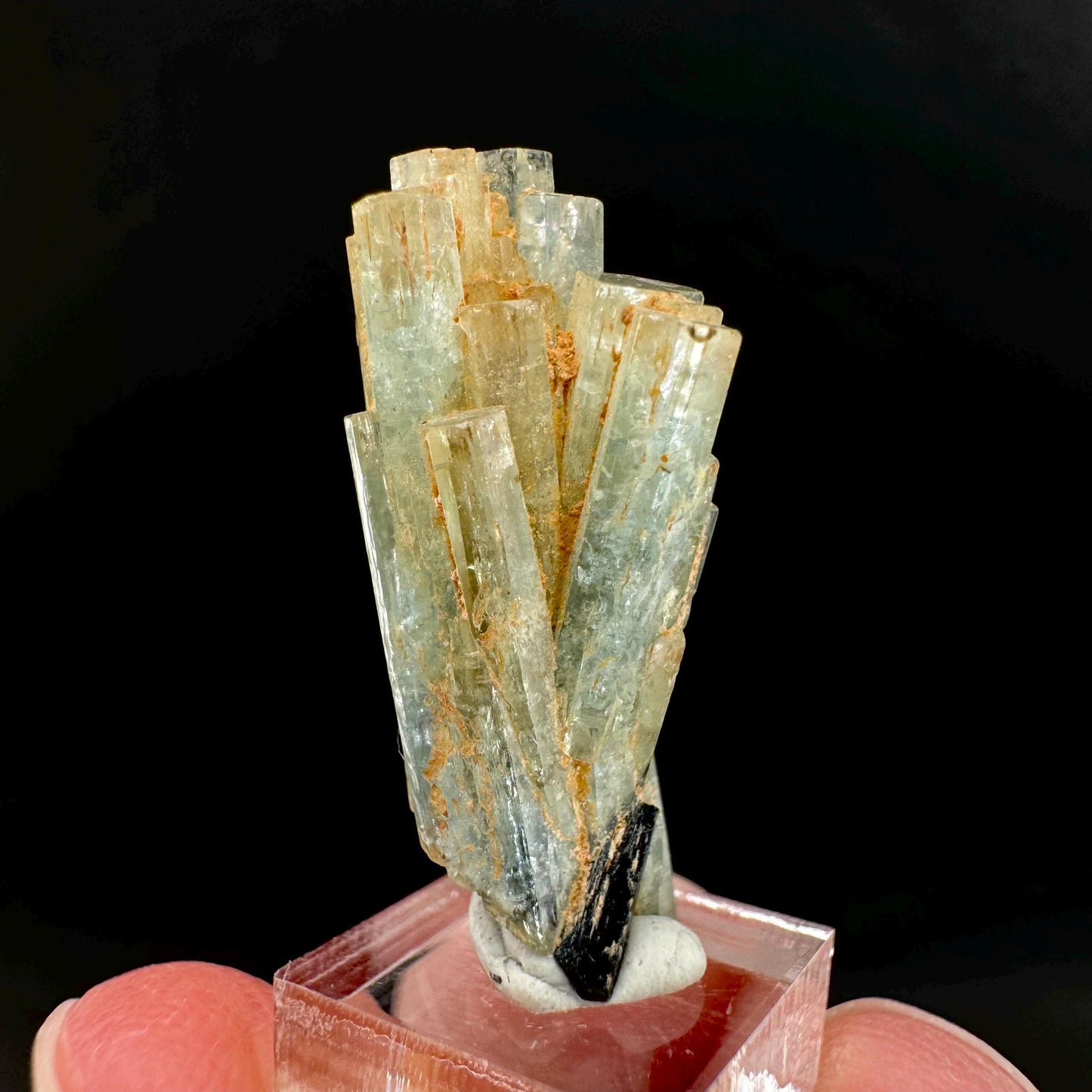 Aquamarine Crystal w/ Schorl | natural blue beryl, mineral specimen from Namibia
