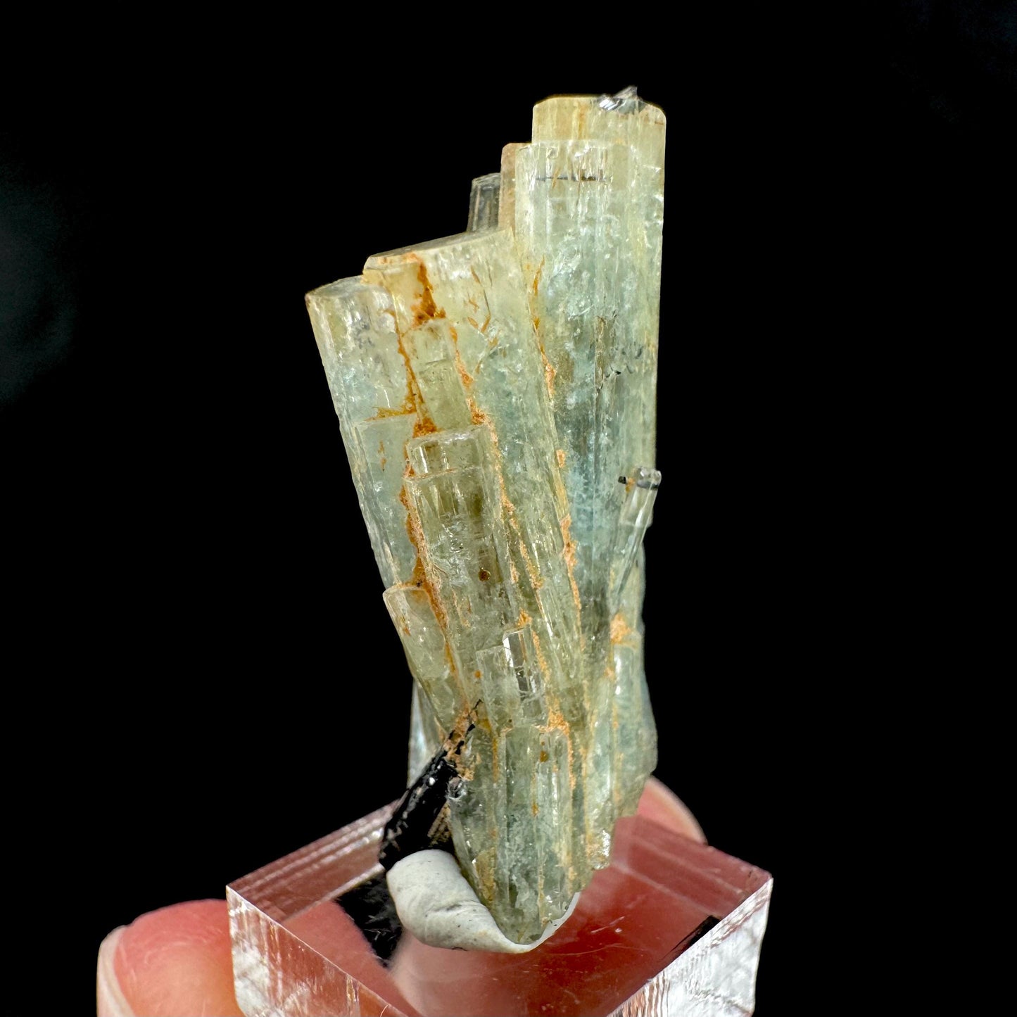 Aquamarine Crystal w/ Schorl | natural blue beryl, mineral specimen from Namibia