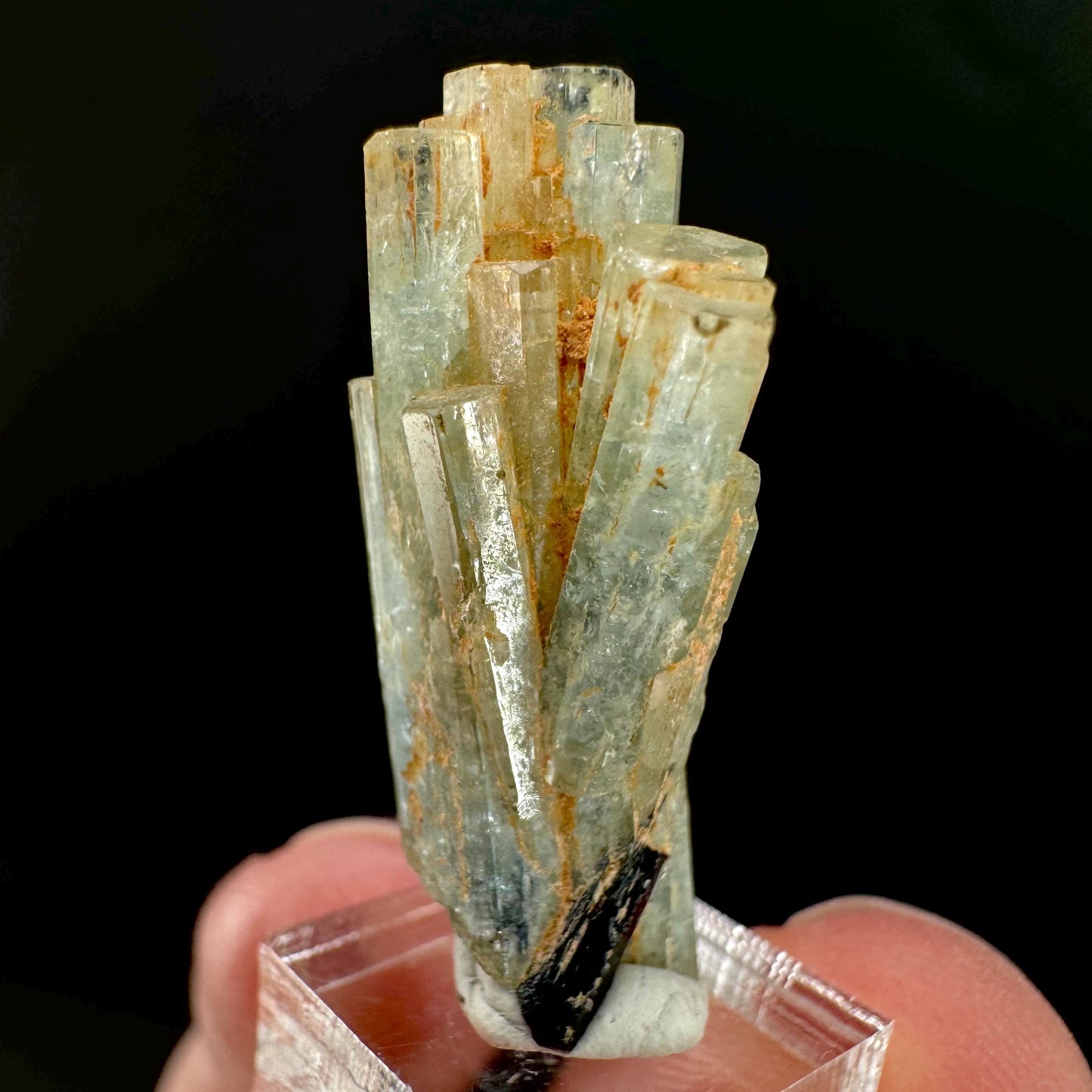 Aquamarine Crystal w/ Schorl | natural blue beryl, mineral specimen from Namibia