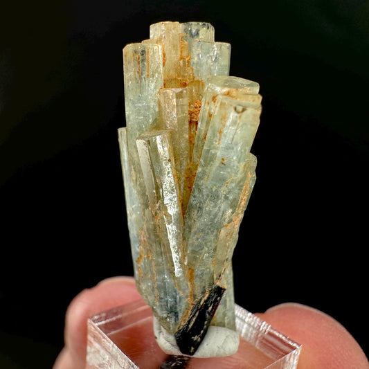 Aquamarine Crystal w/ Schorl | natural blue beryl, mineral specimen from Namibia