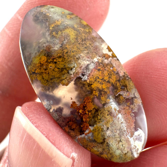 Plume Agate Cabochon | Landscape Picture Gemstone