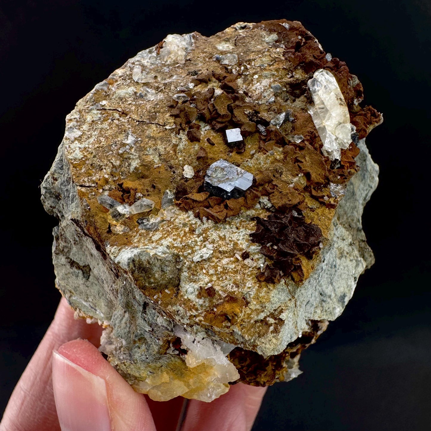 Anatase on Matrix | Metallic Crystal, Rare Mineral Specimen