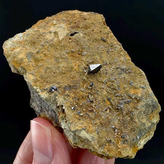 Anatase on Matrix | Metallic Crystal, Rare Mineral Specimen