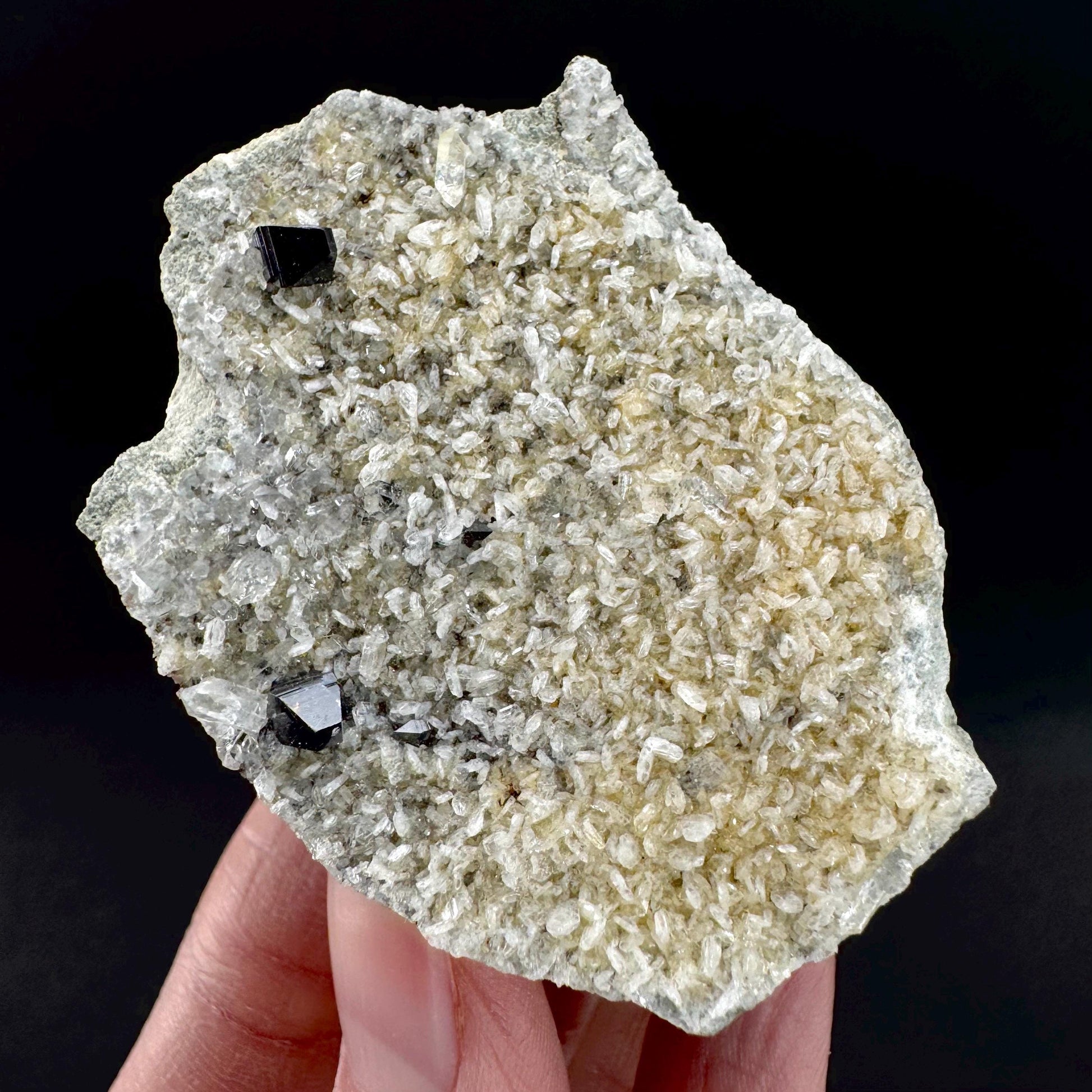 Anatase on Matrix | Metallic Crystal, Rare Mineral Specimen