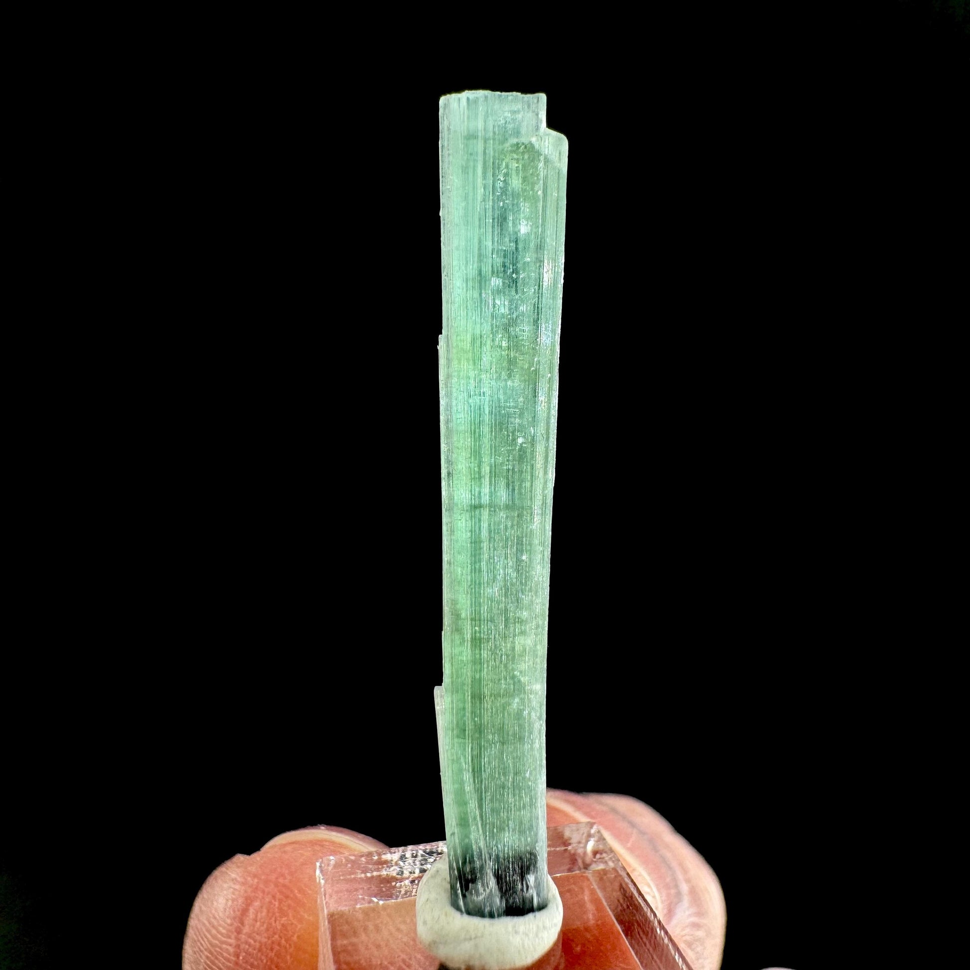 Indicolite Tourmaline Crystal | Natural Blue-Green Mineral Specimen from Pakistan