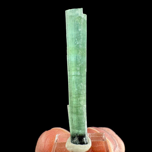 Indicolite Tourmaline Crystal | Natural Blue-Green Mineral Specimen from Pakistan