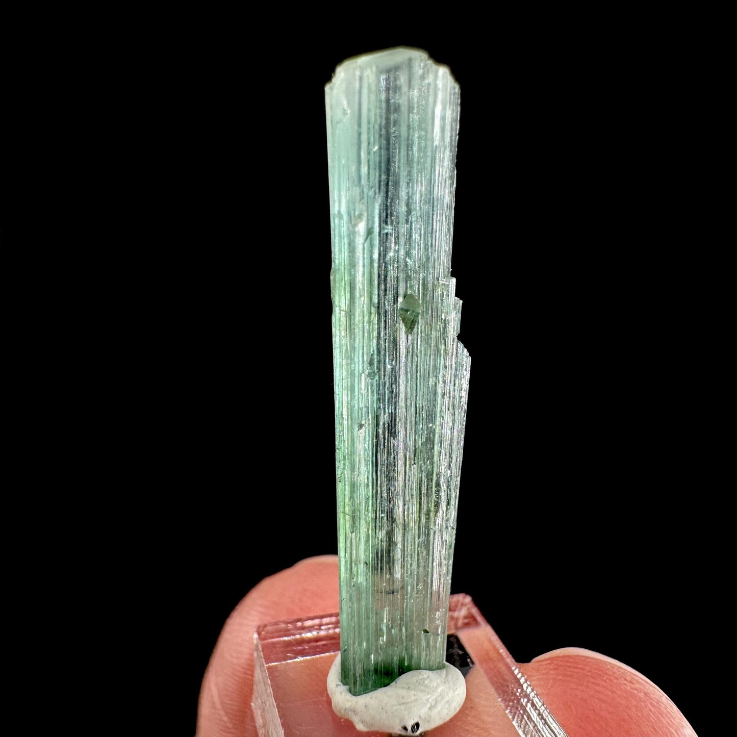 Indicolite Tourmaline Crystal | Natural Blue-Green Mineral Specimen from Pakistan
