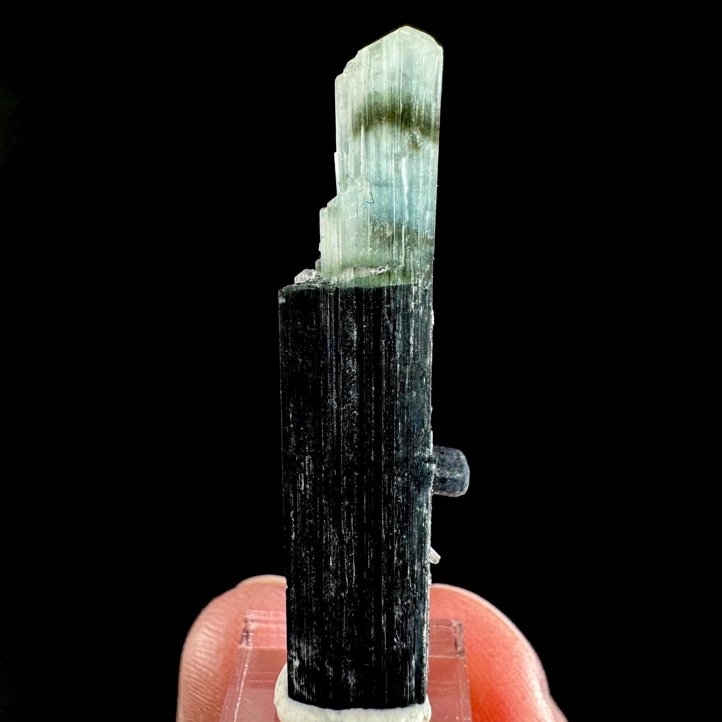Indicolite Tourmaline Crystal | Natural Blue-Green Mineral Specimen from Pakistan