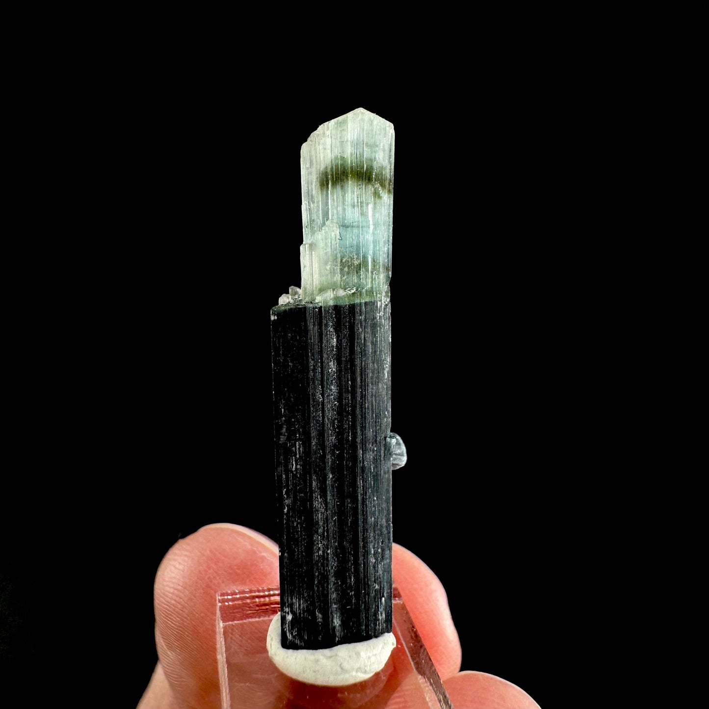Indicolite Tourmaline Crystal | Natural Blue-Green Mineral Specimen from Pakistan
