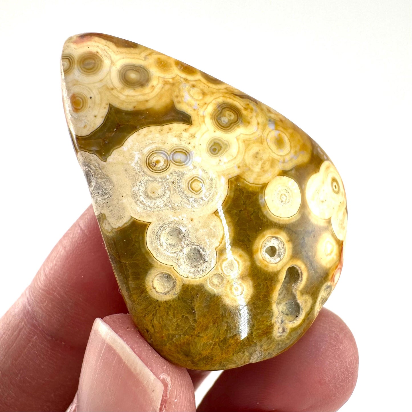 Orbicular Ocean Jasper Cabochon | Natural Gemstone