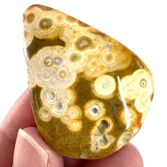 Orbicular Ocean Jasper Cabochon | Natural Gemstone
