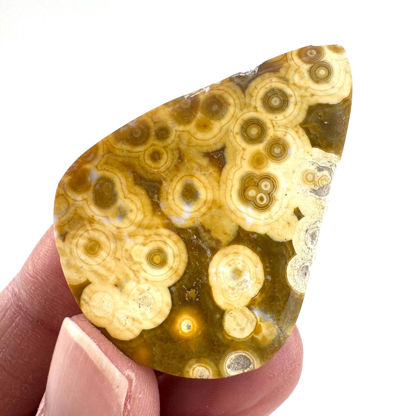 Orbicular Ocean Jasper Cabochon | Natural Gemstone
