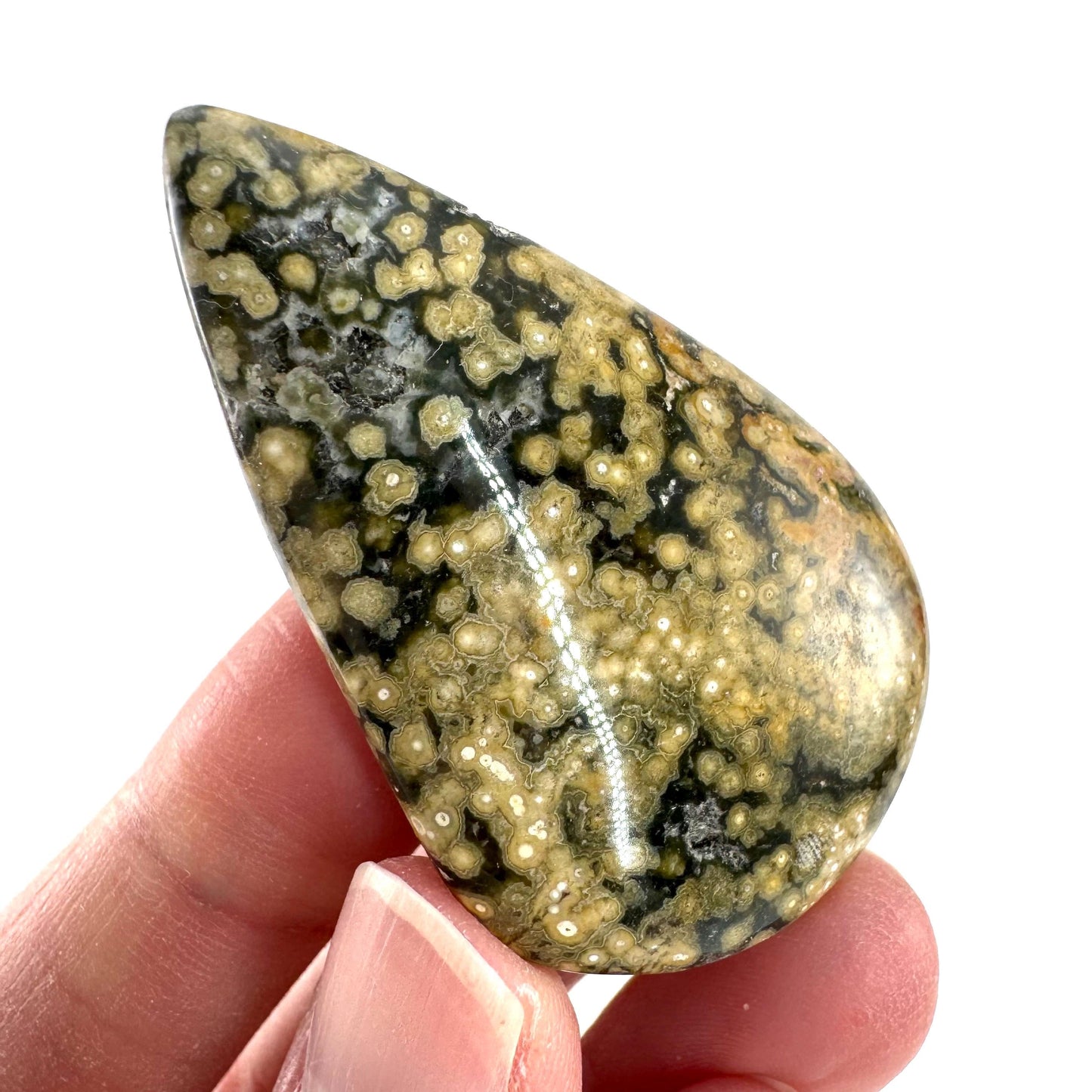 Orbicular Ocean Jasper Cabochon | Natural Gemstone