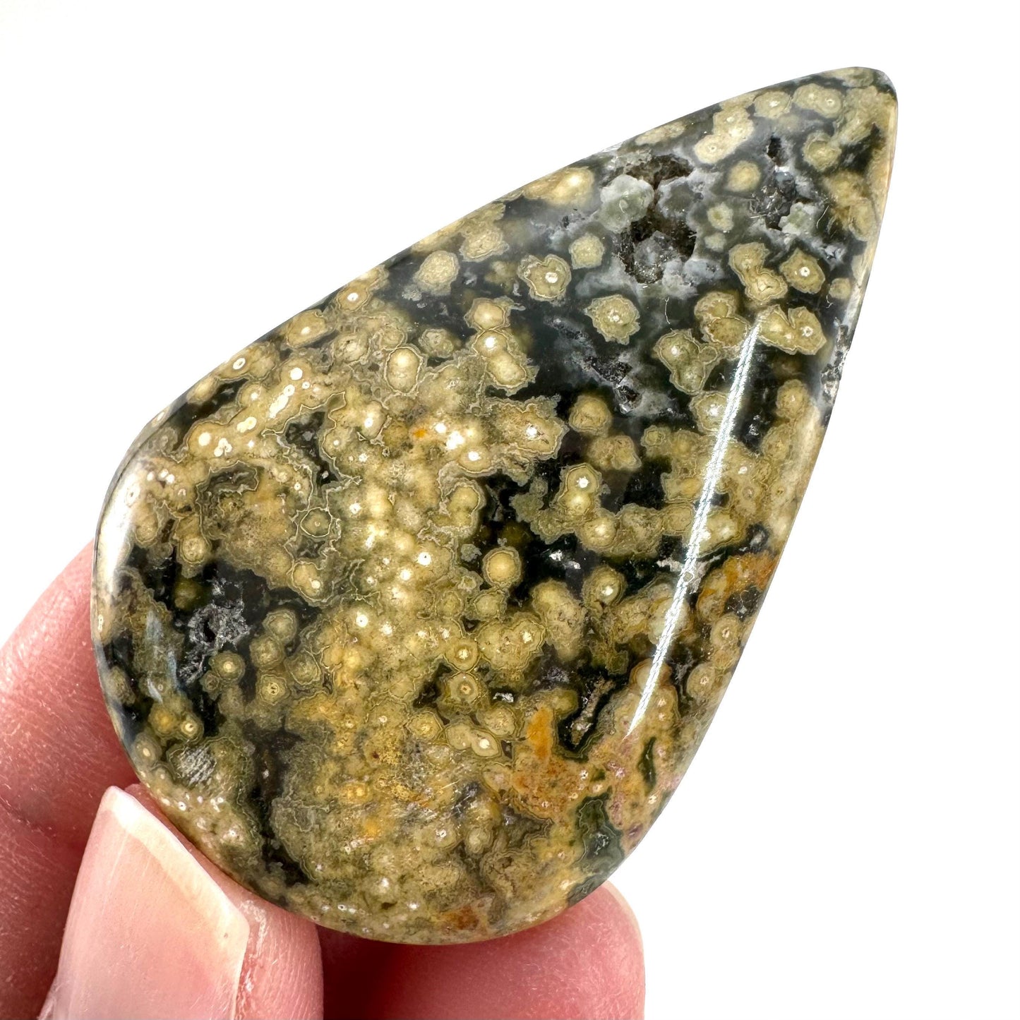 Orbicular Ocean Jasper Cabochon | Natural Gemstone