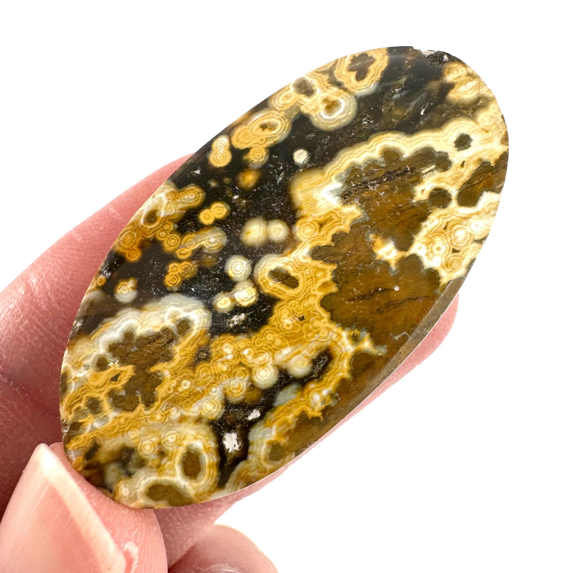 Orbicular Ocean Jasper Cabochon | Natural Gemstone