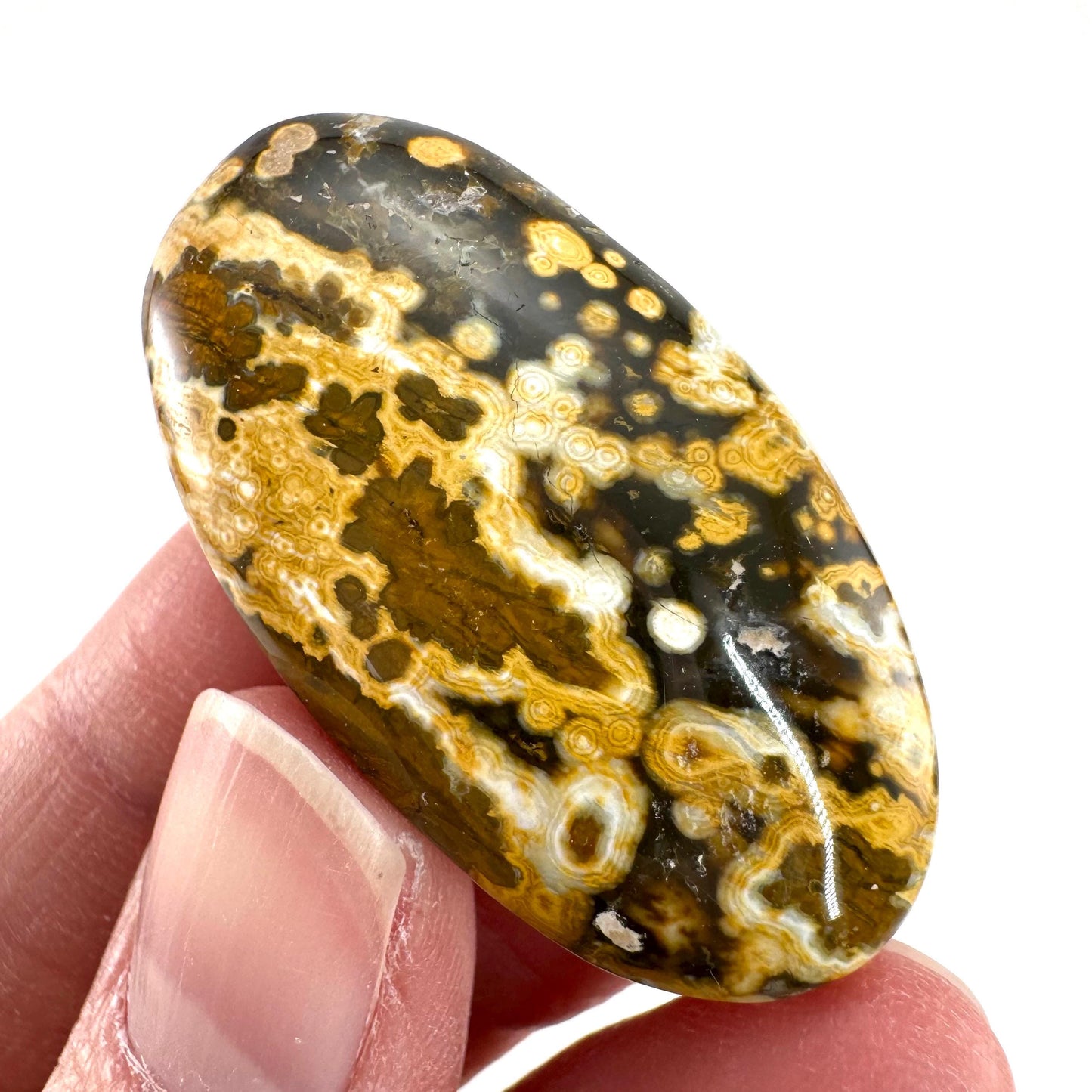 Orbicular Ocean Jasper Cabochon | Natural Gemstone